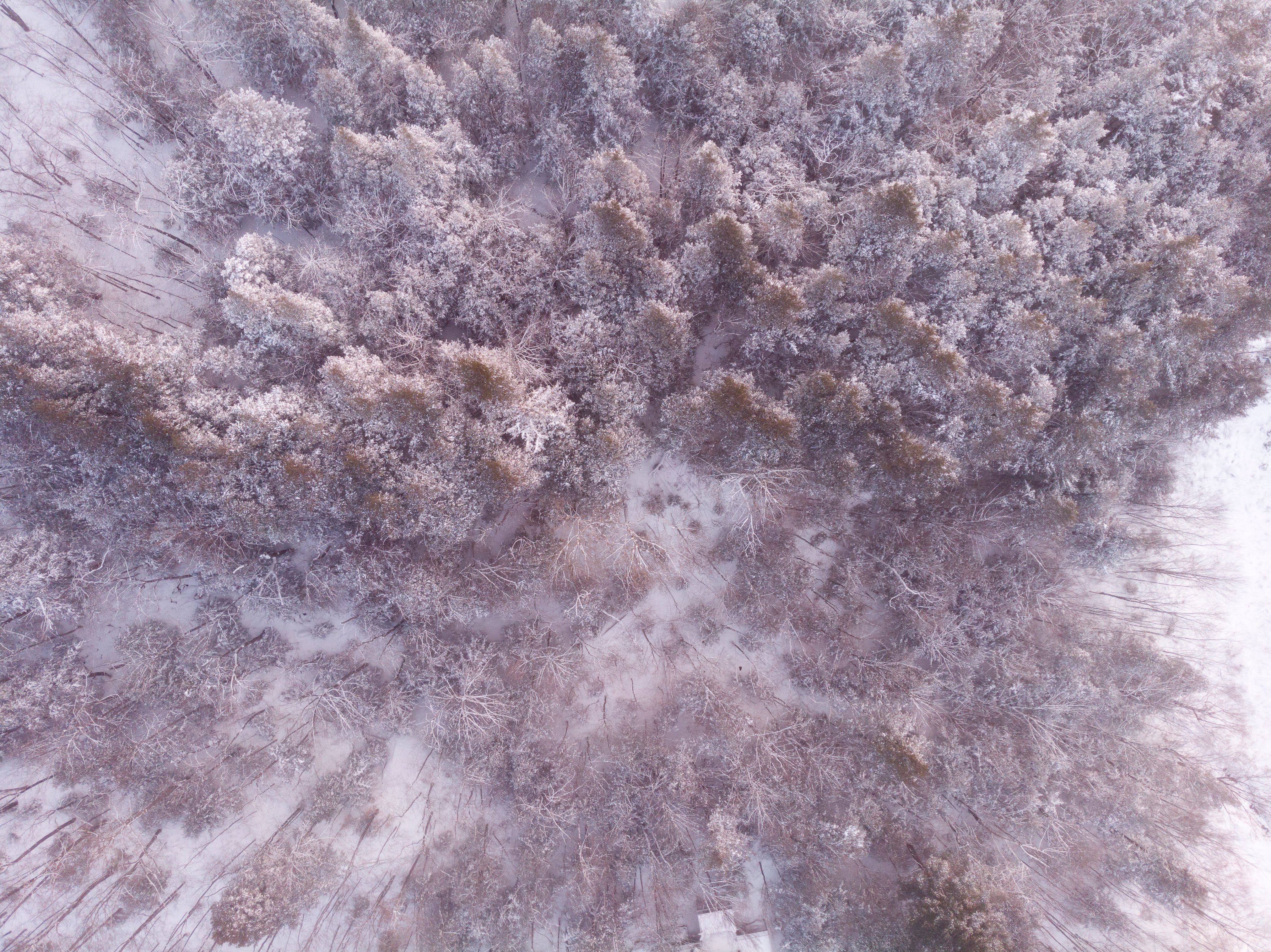 drone winter landscape