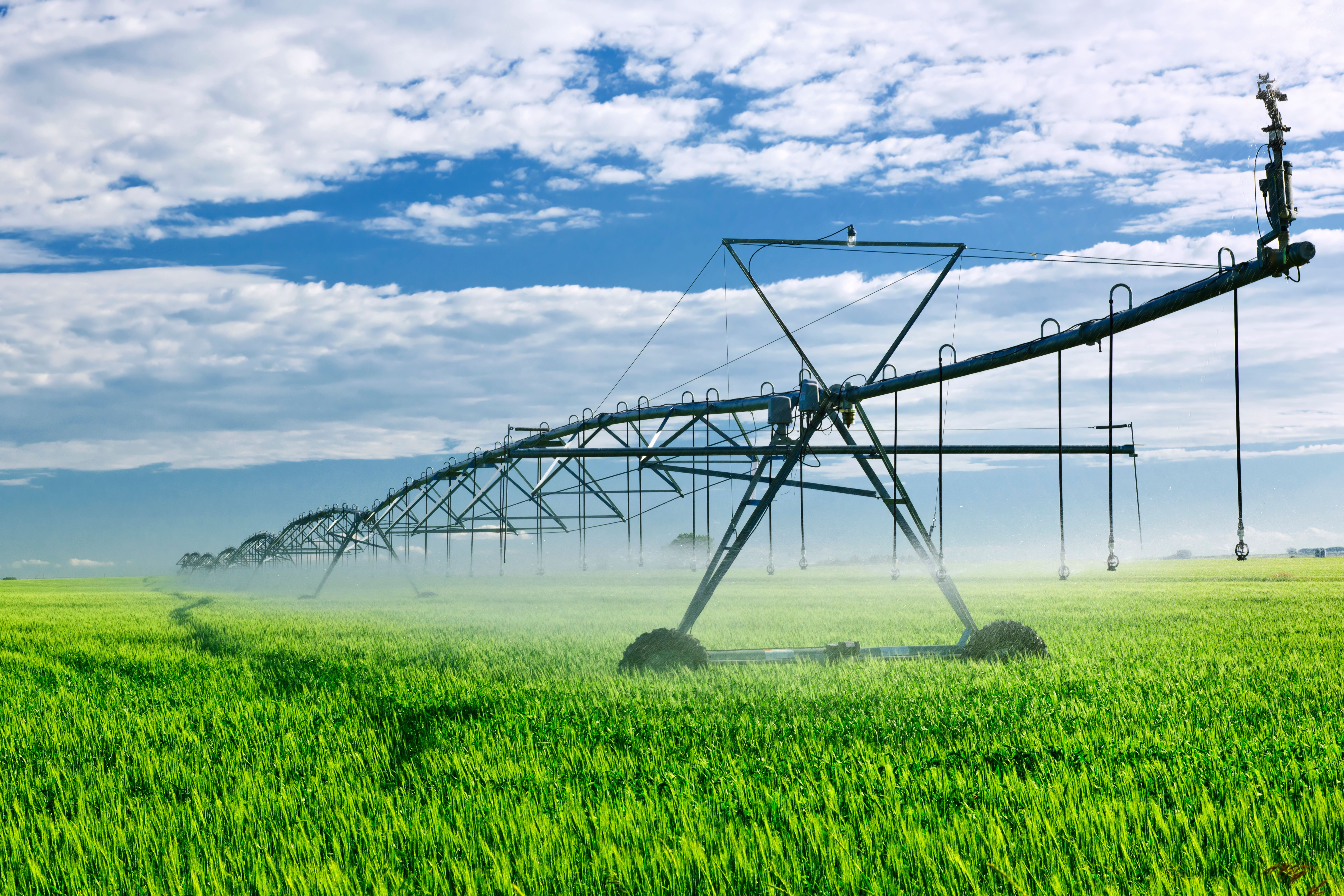 irrigation system