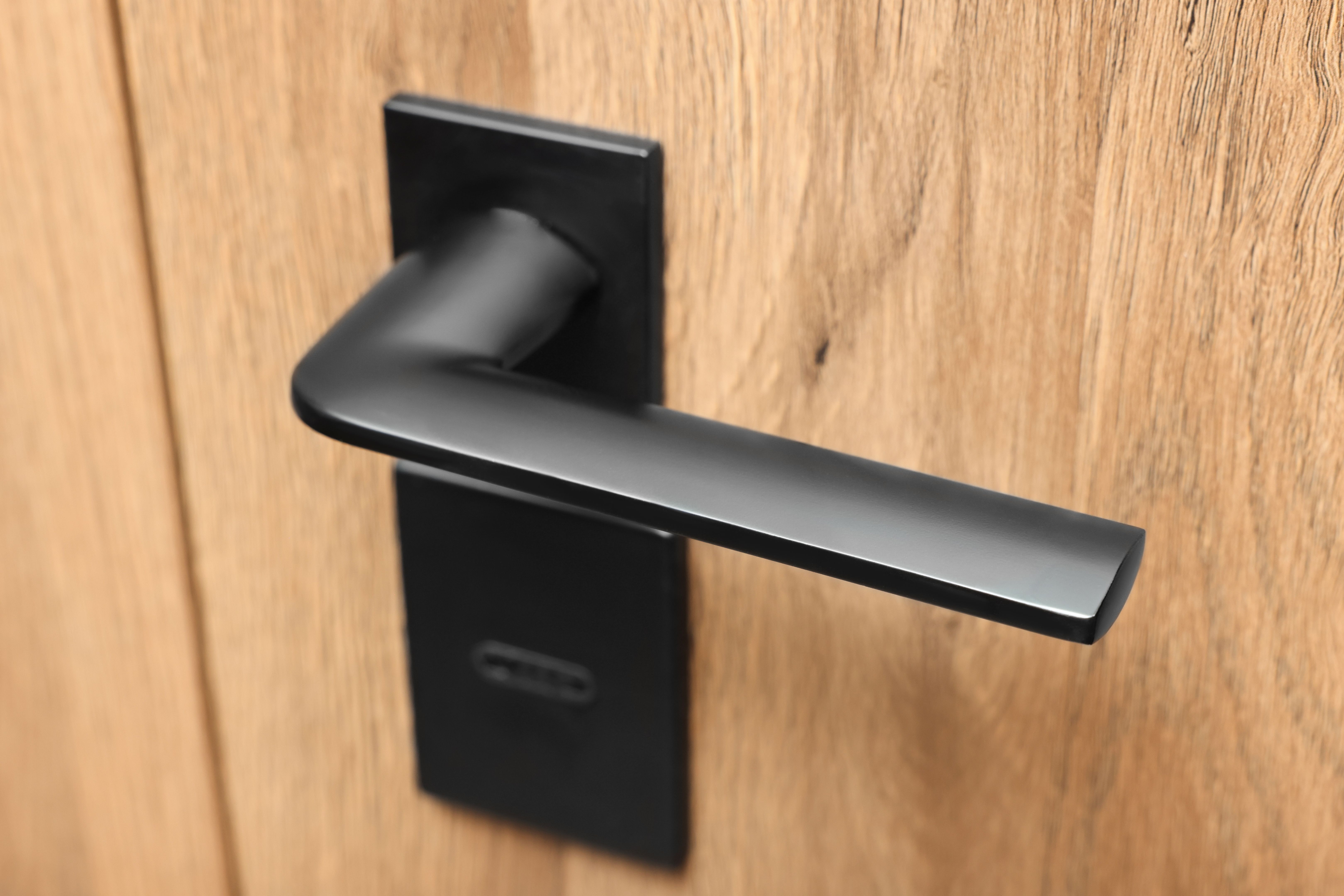 View of door with modern handle, closeup