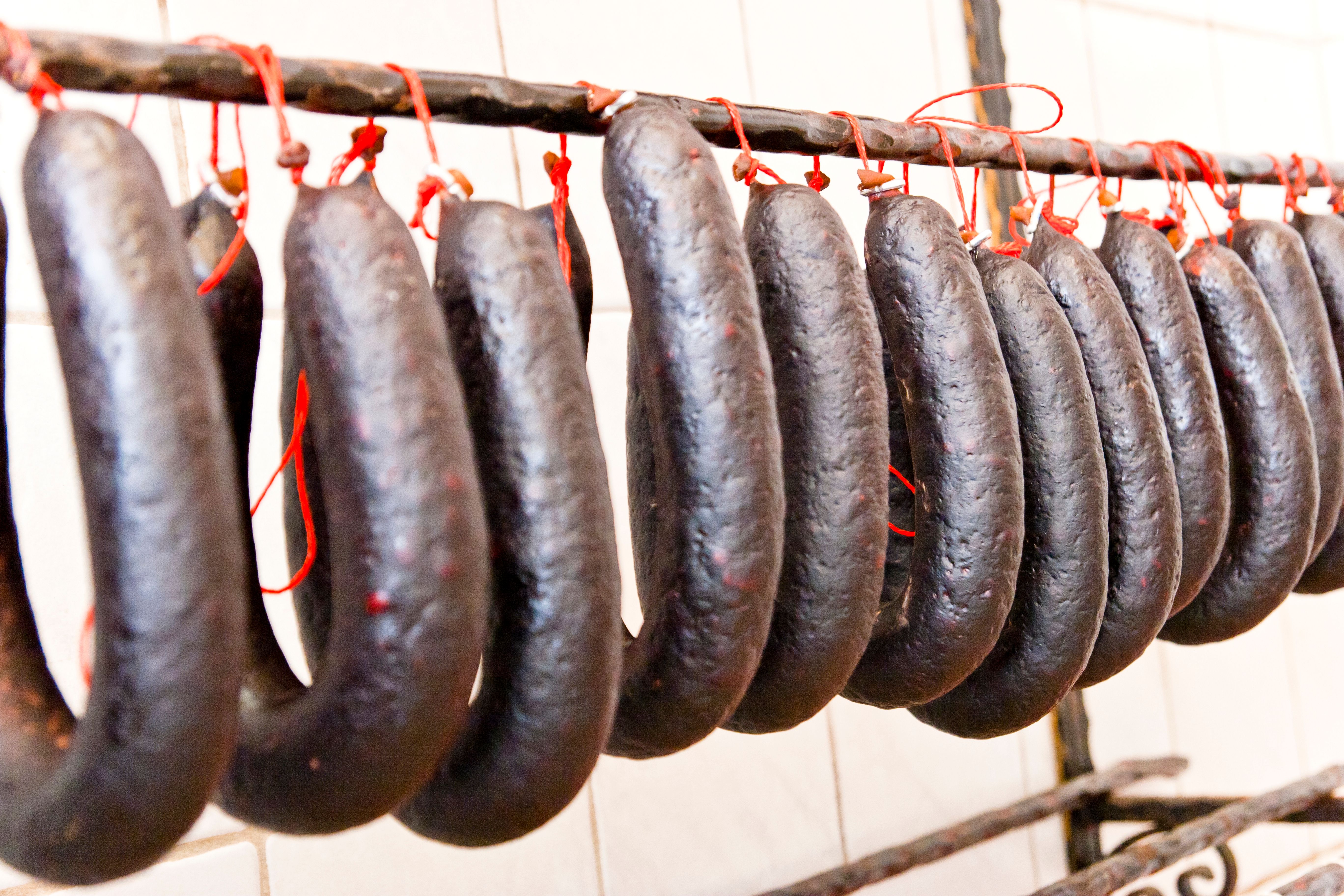 blood sausage