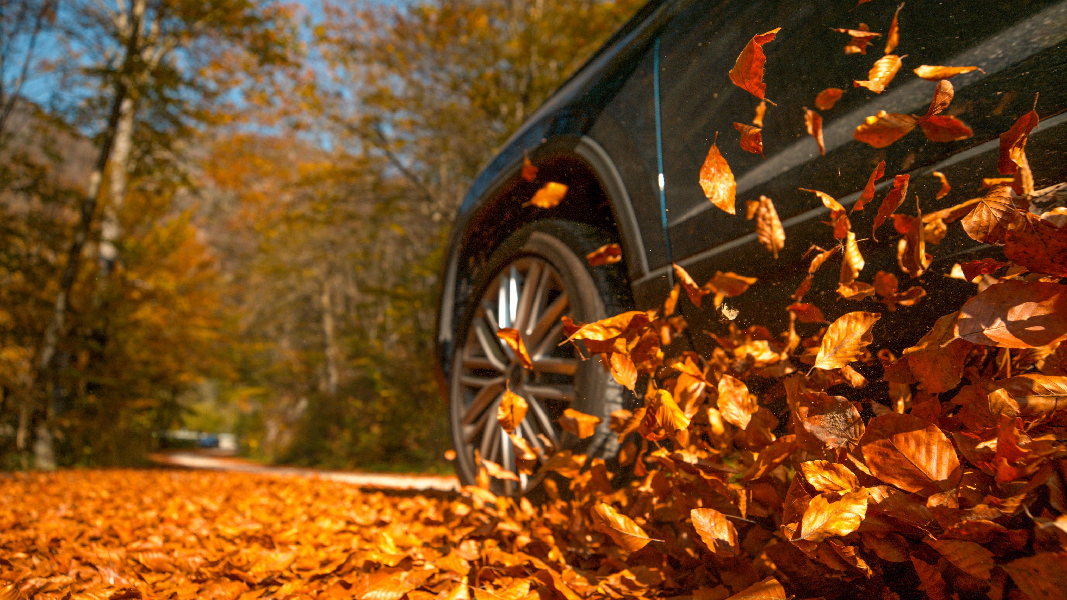 fall car preparation