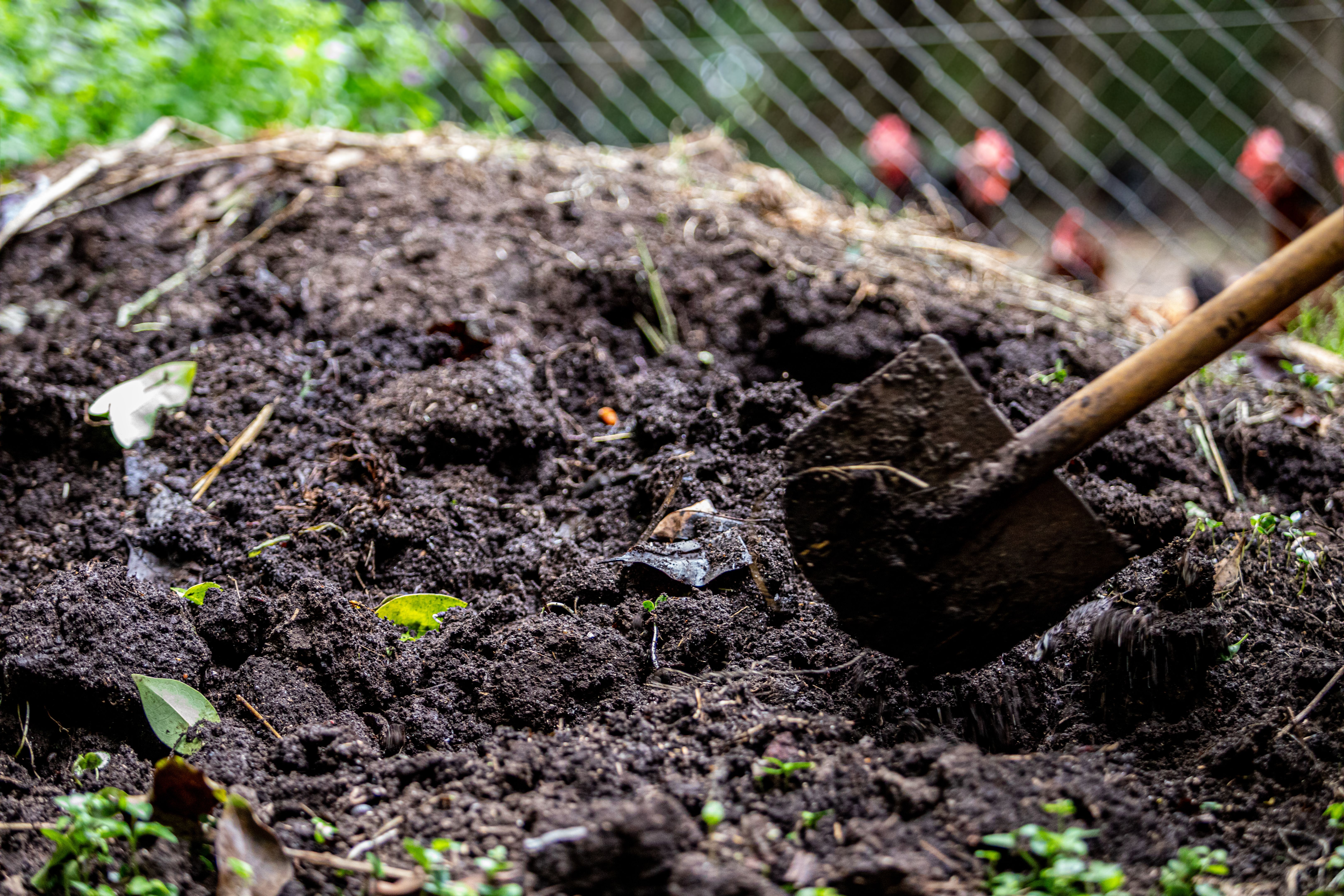 compost pile garden