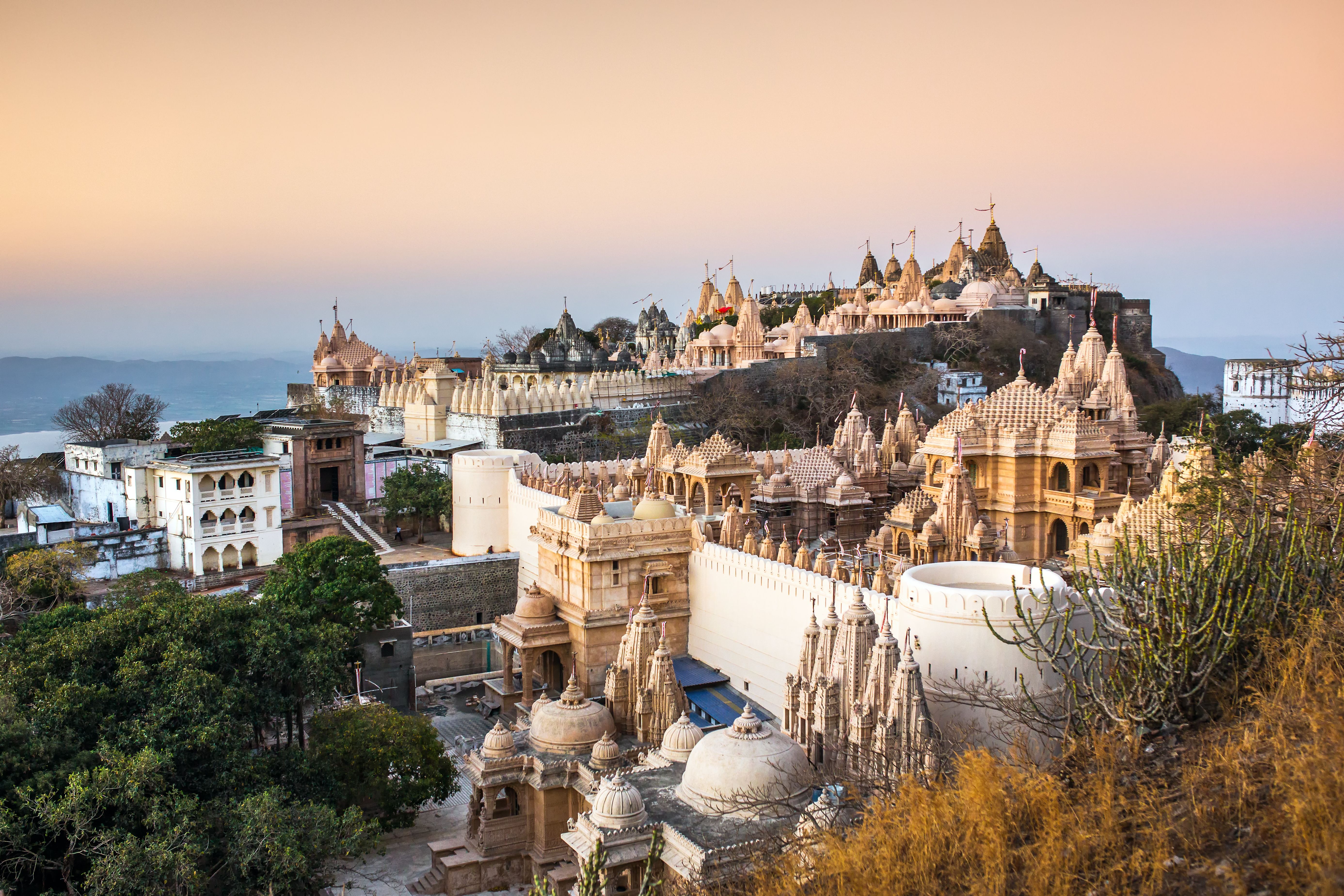 local seo gujarat