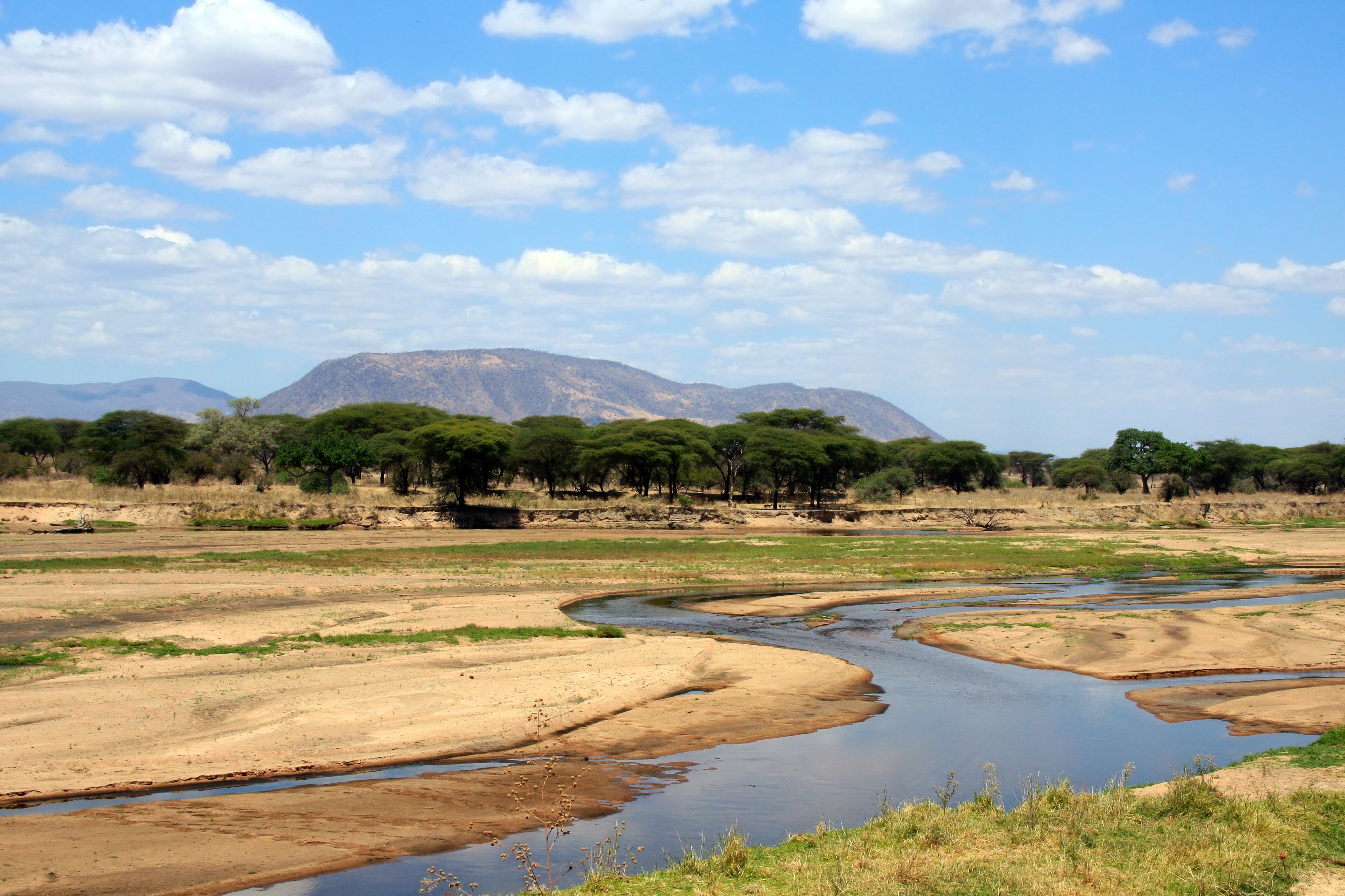 ruaha national park