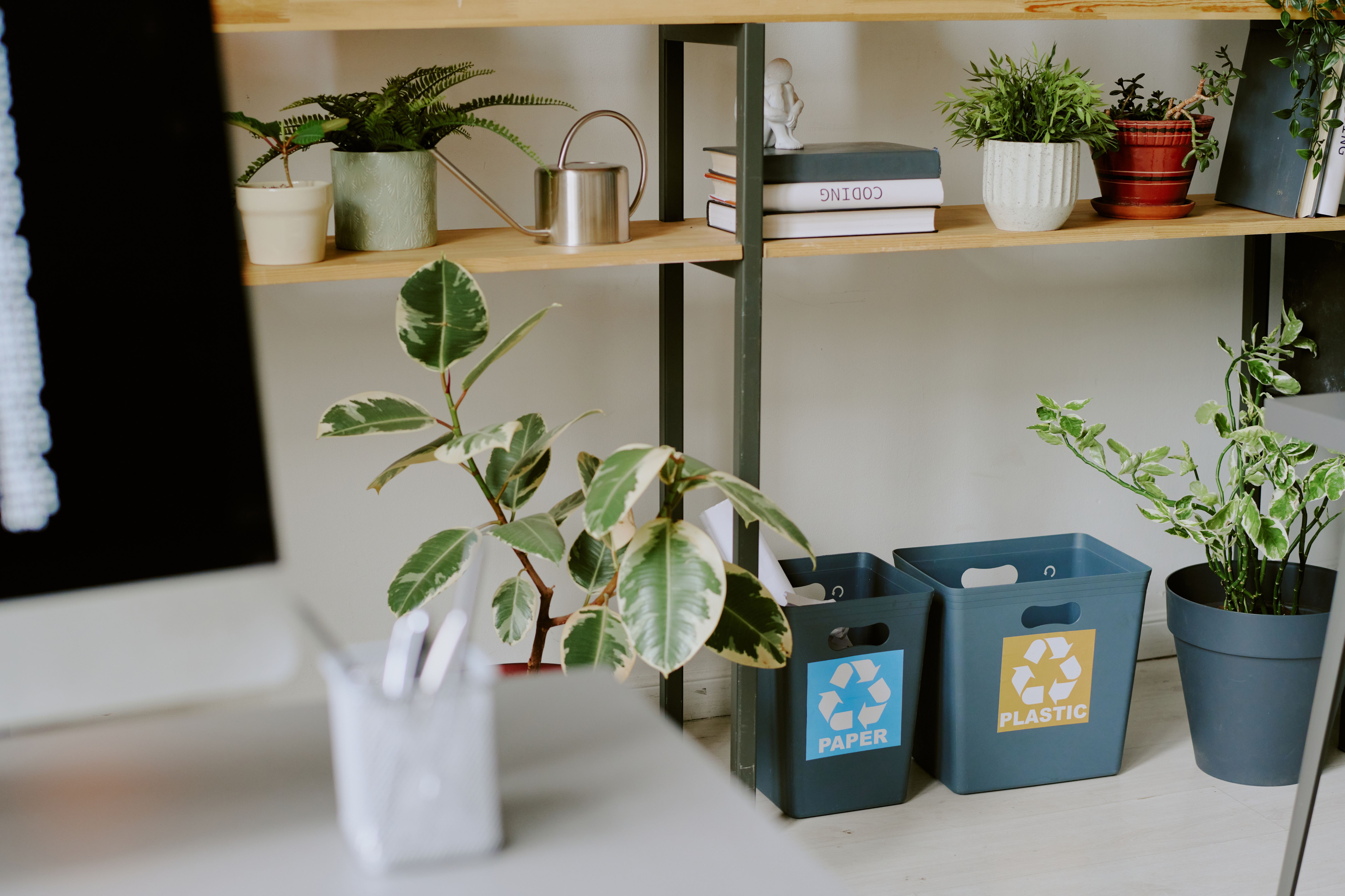 waste sorting technology