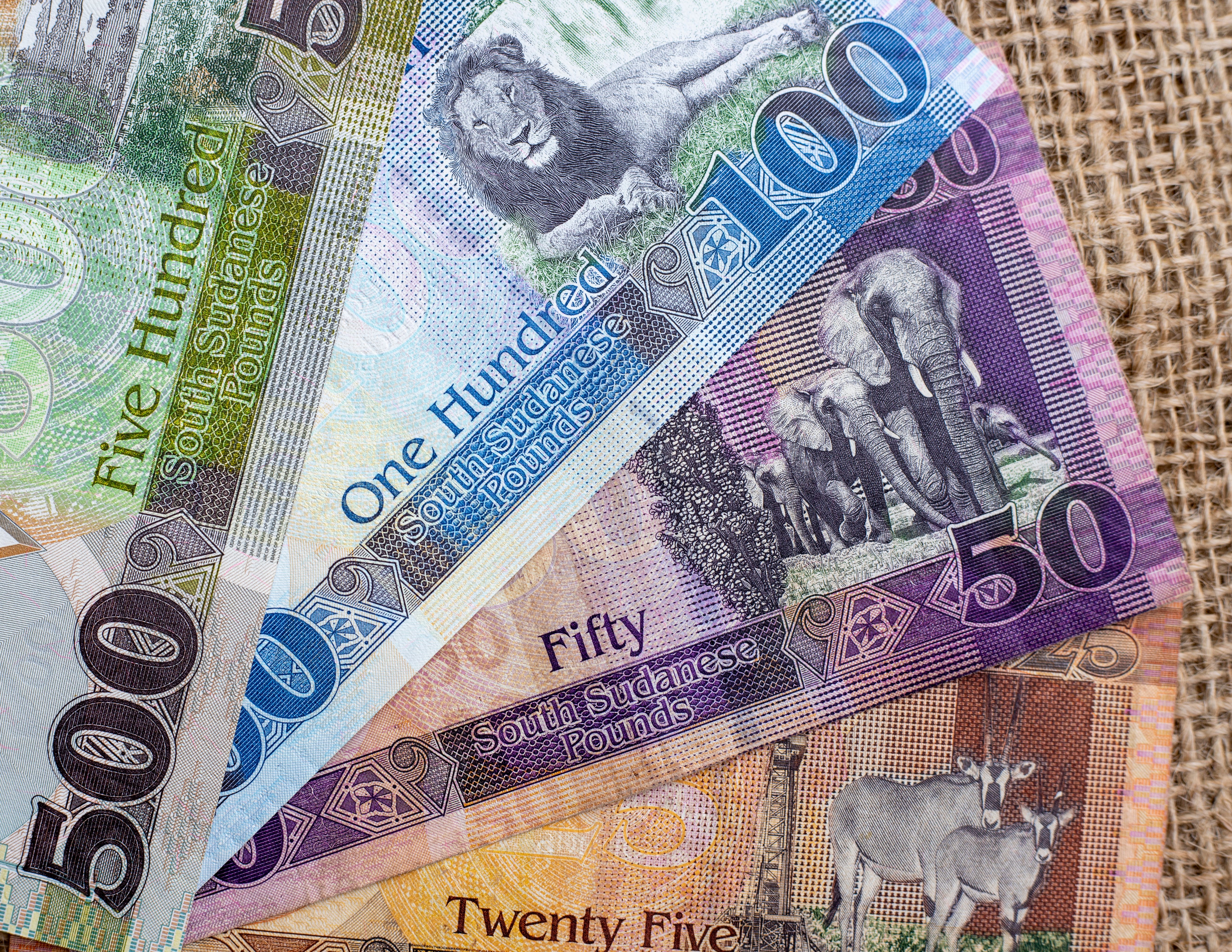 south sudan economy