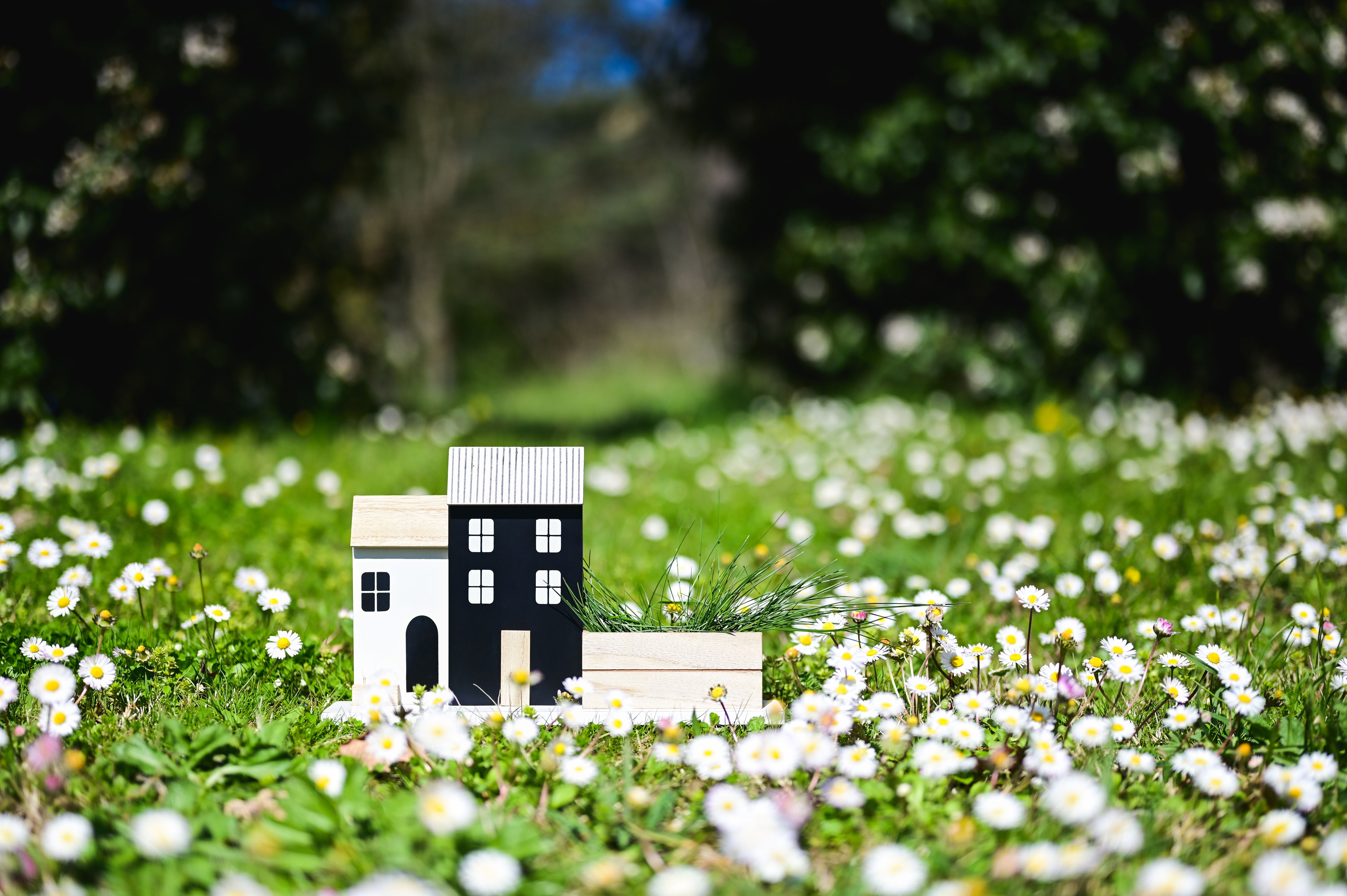 spring home maintenance