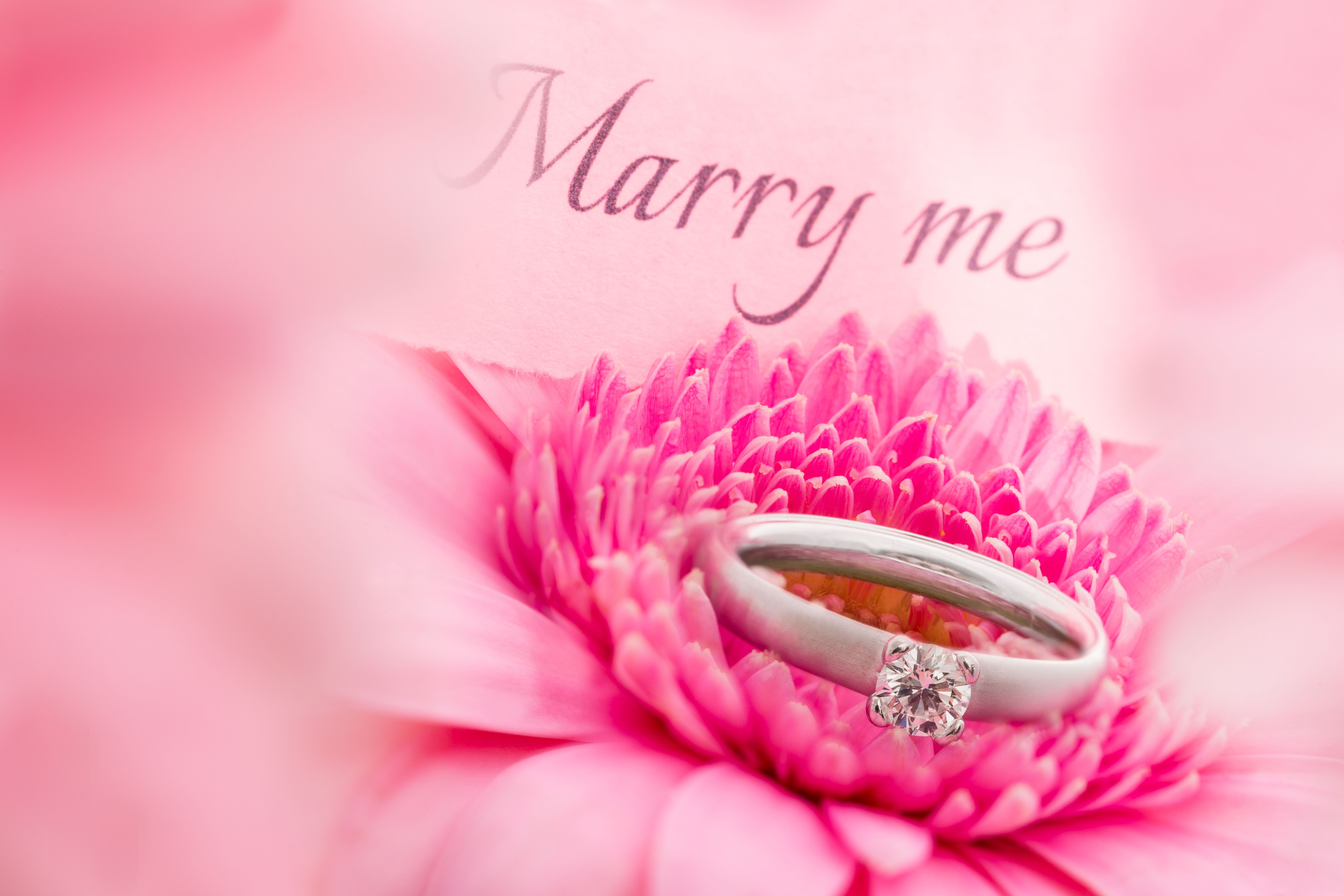 Marriage Proposal with Engagement Ring Marriage Proposal with Engagement Ring