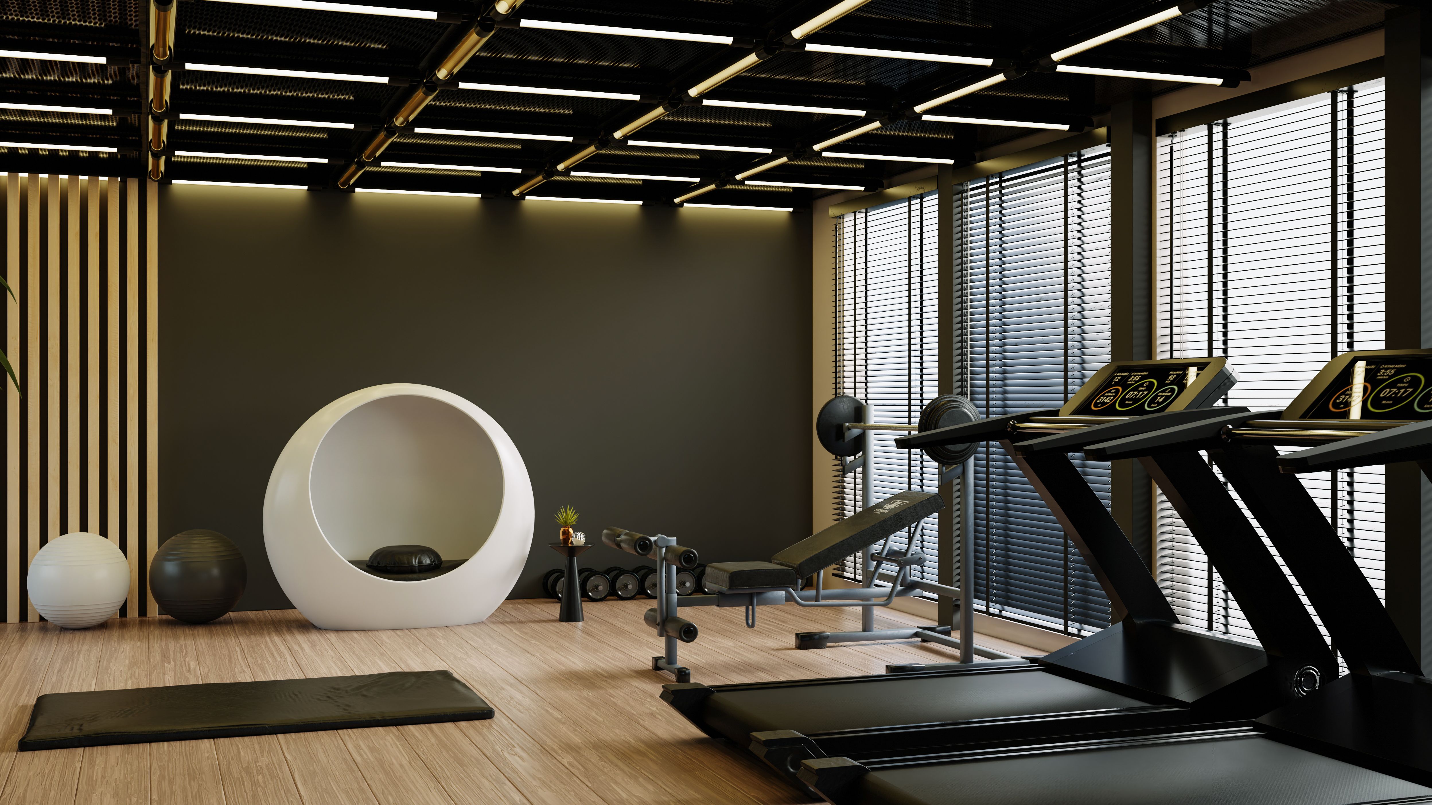 luxury gym