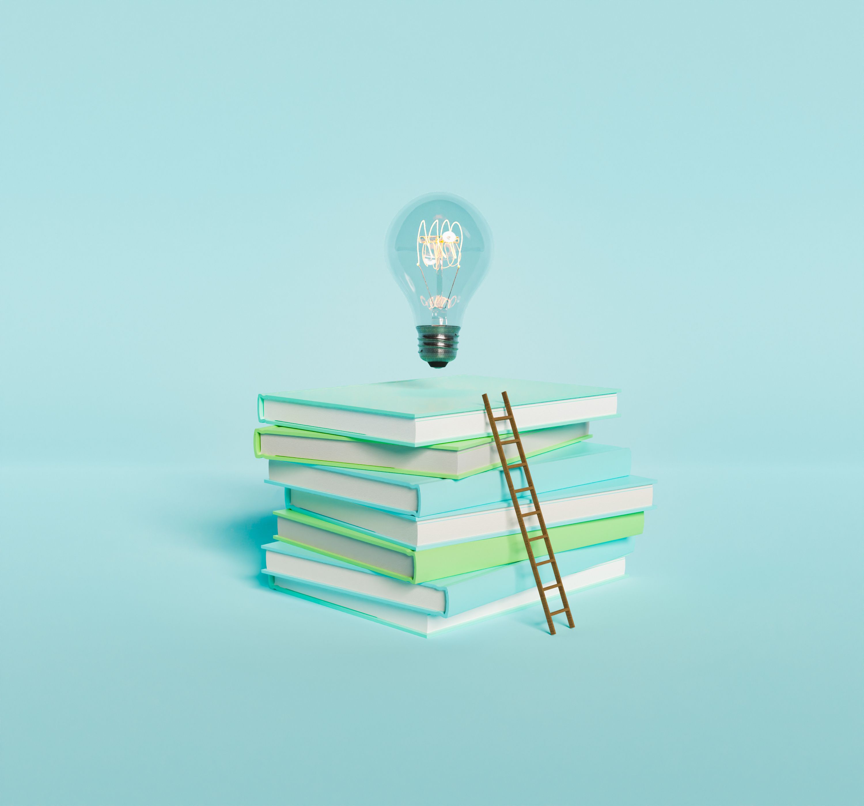 expert knowledge