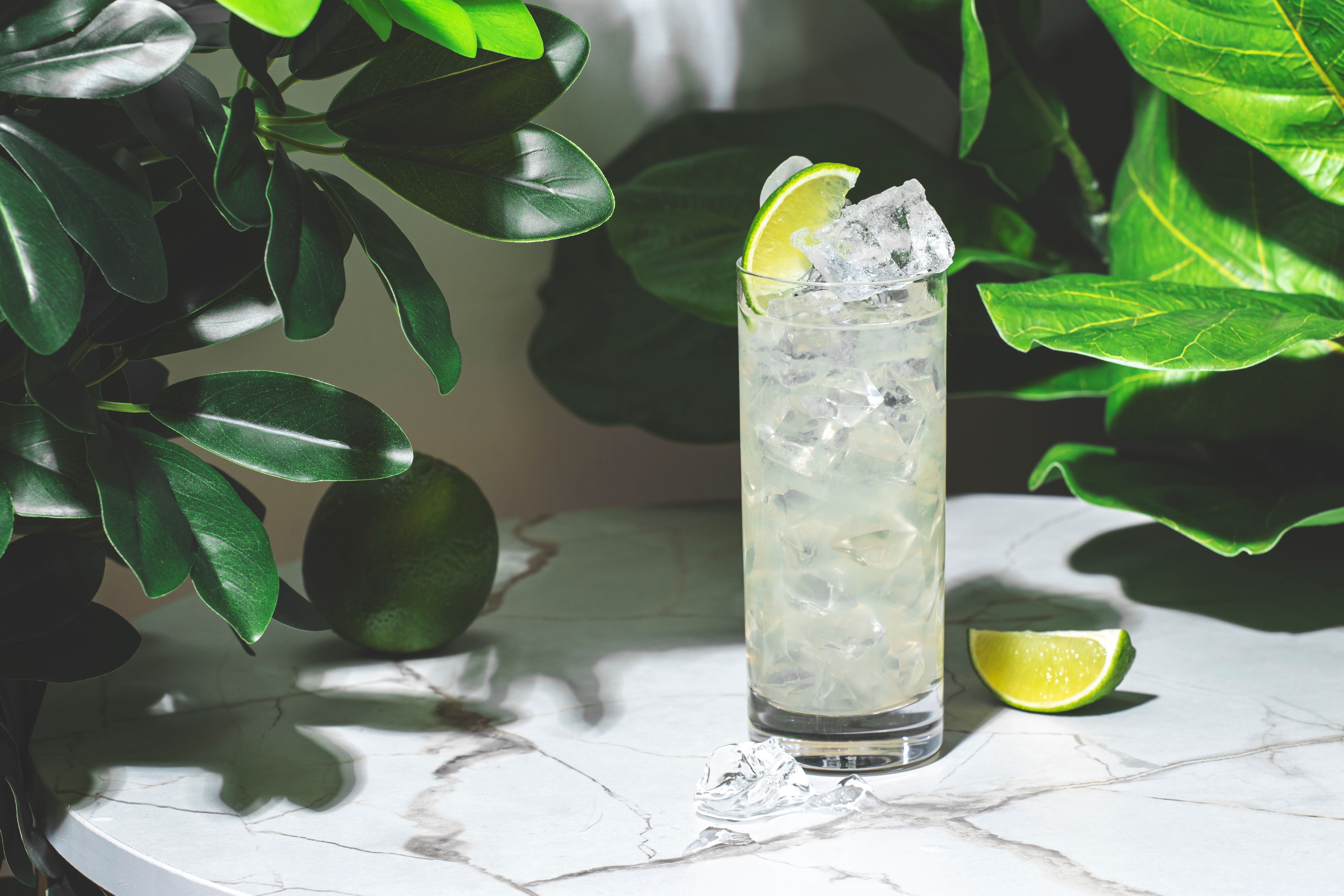 cocktail presentation