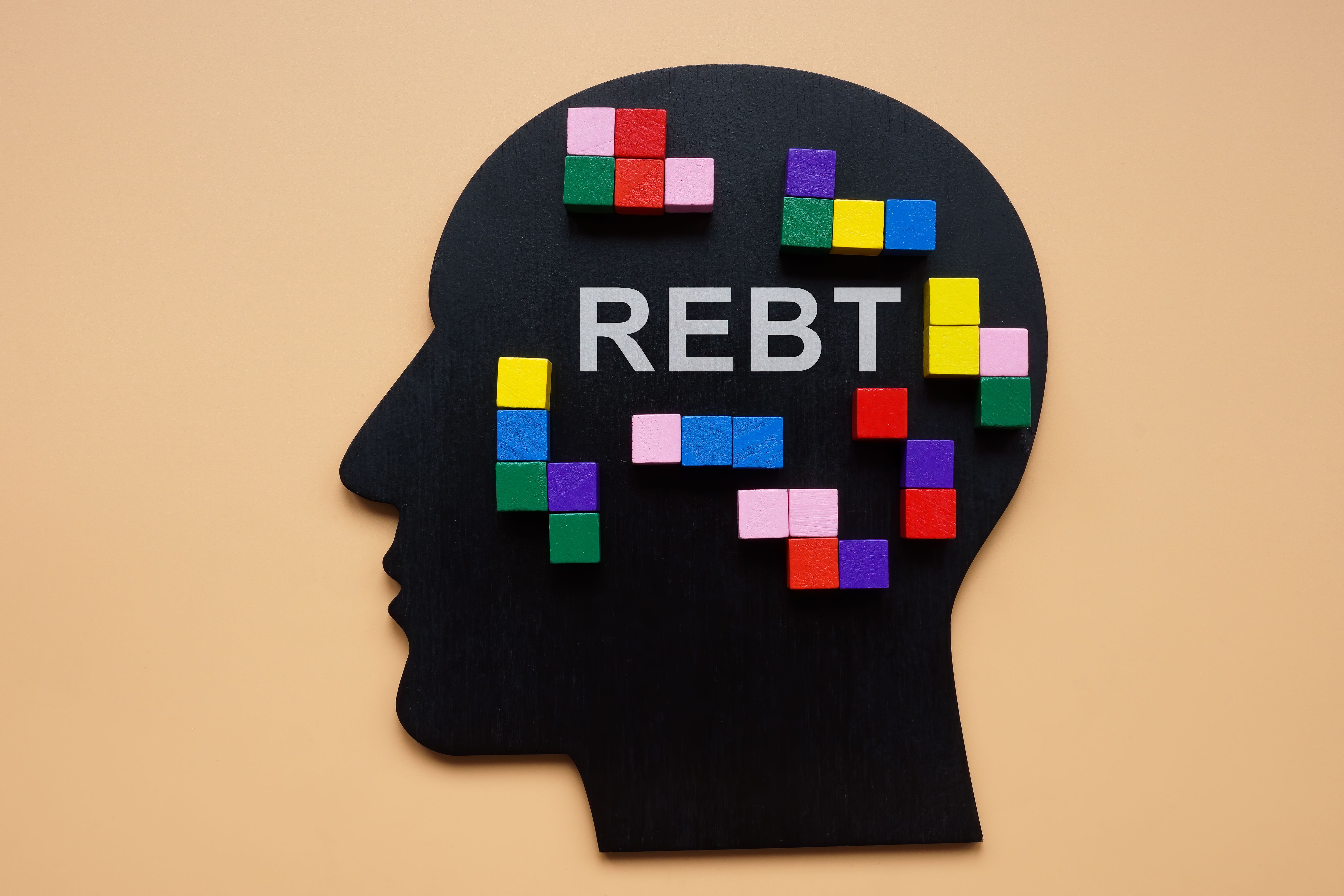 Head with colorful cubes and sign Rational Emotive Behavior Therapy REBT. Head with colorful cubes and sign Rational Emotive Behavior Therapy REBT.
