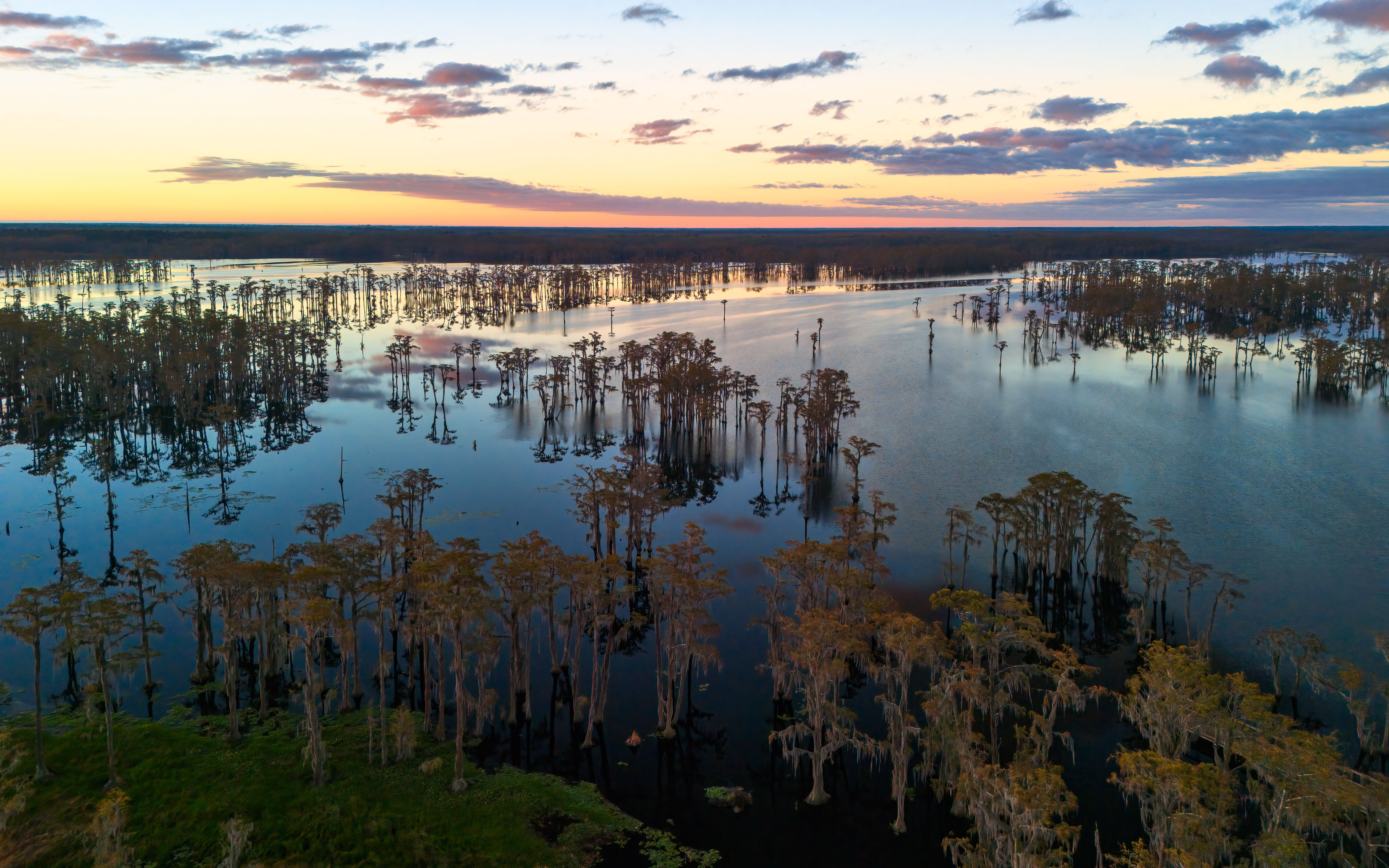 Louisiana winter landscape