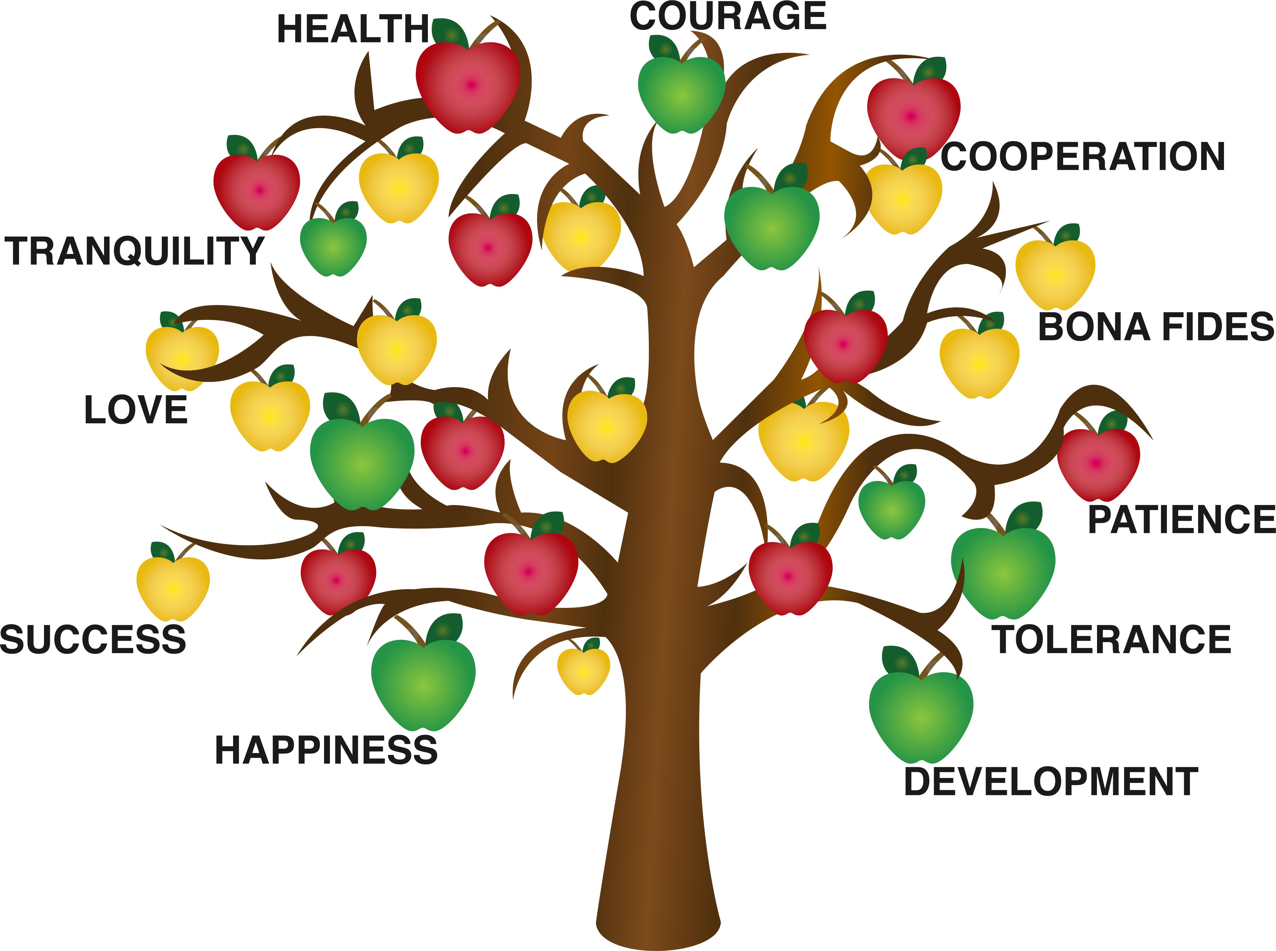 tree of life diagram