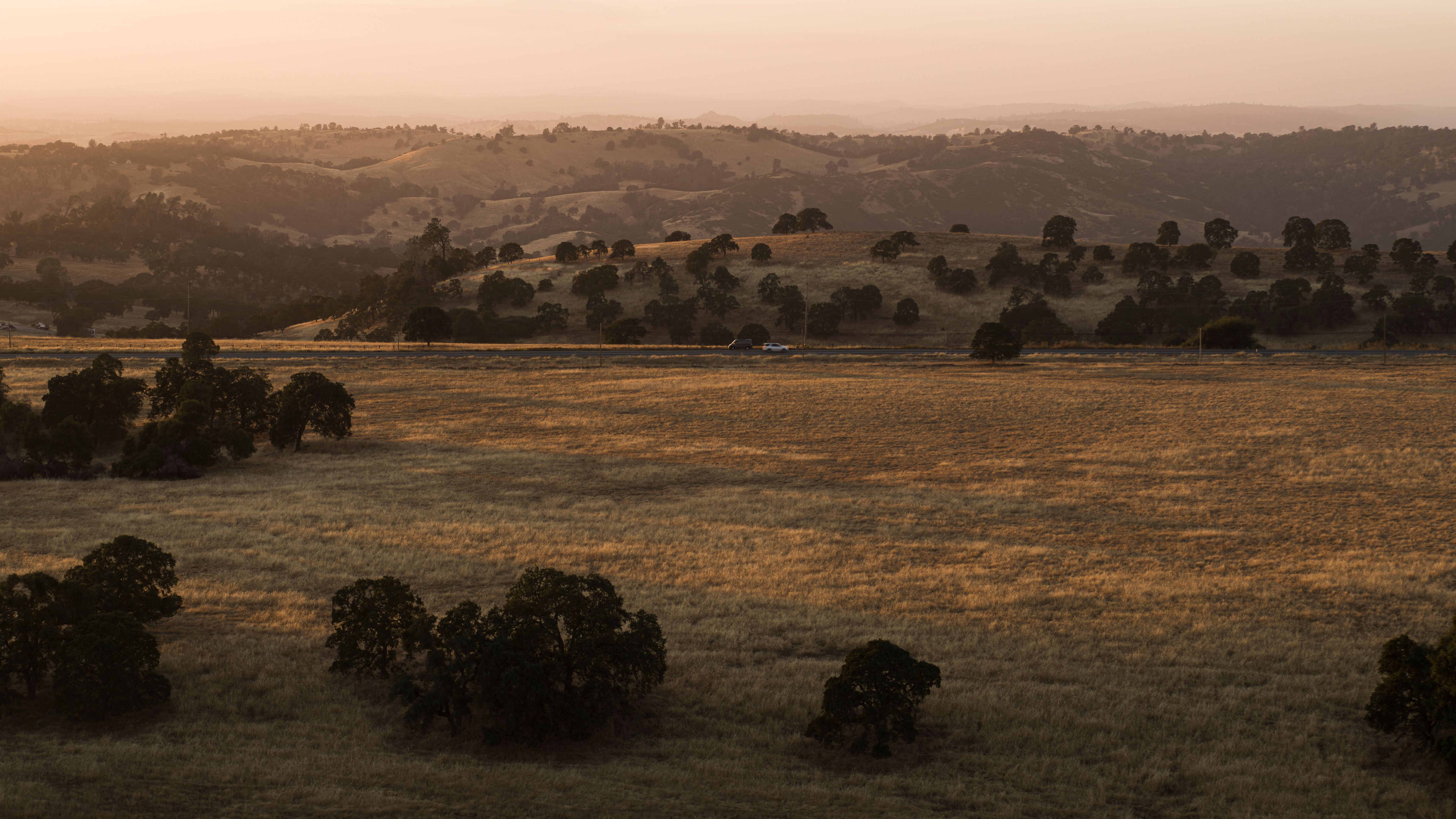 amador county vineyards