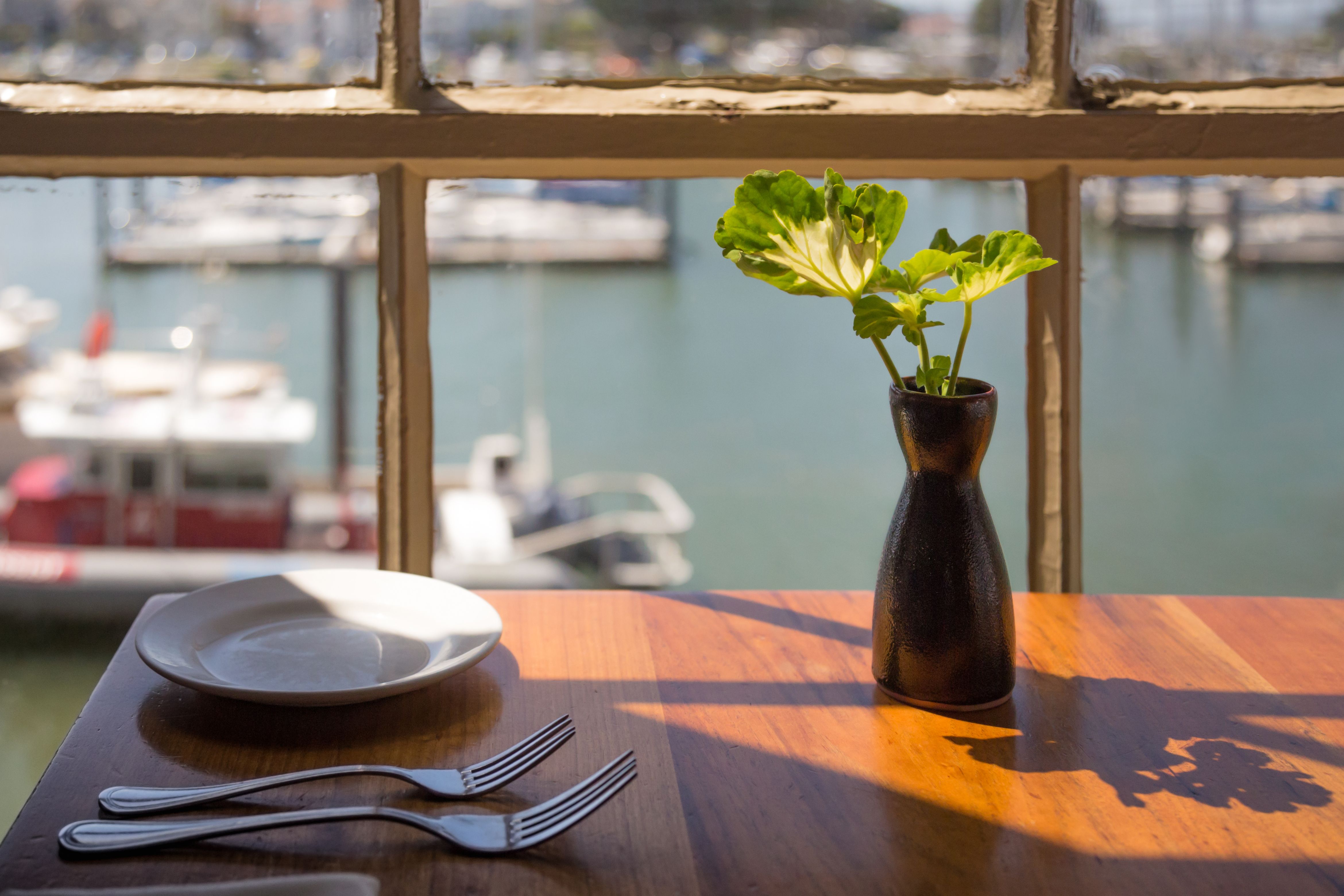 san francisco restaurant