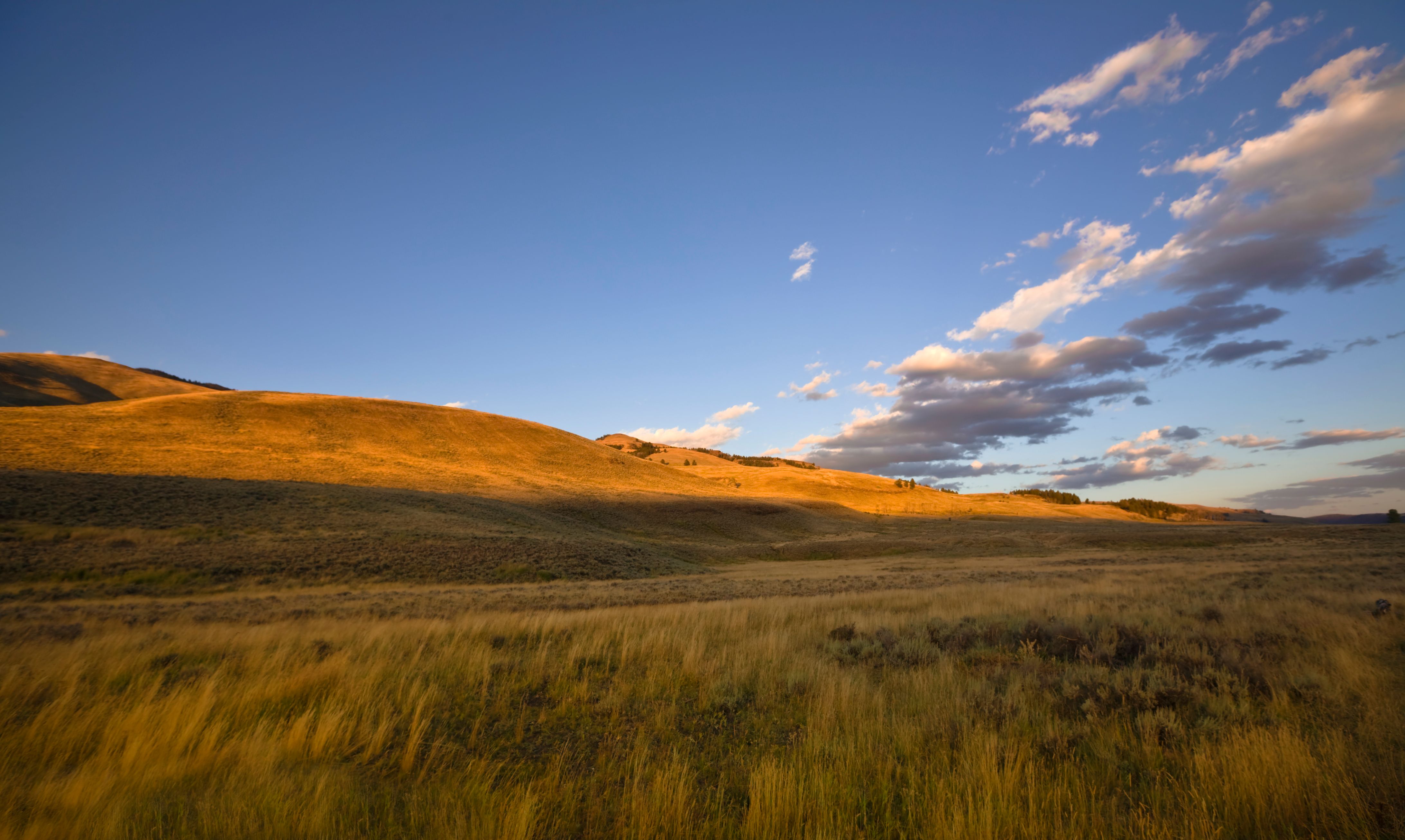 wyoming landscape