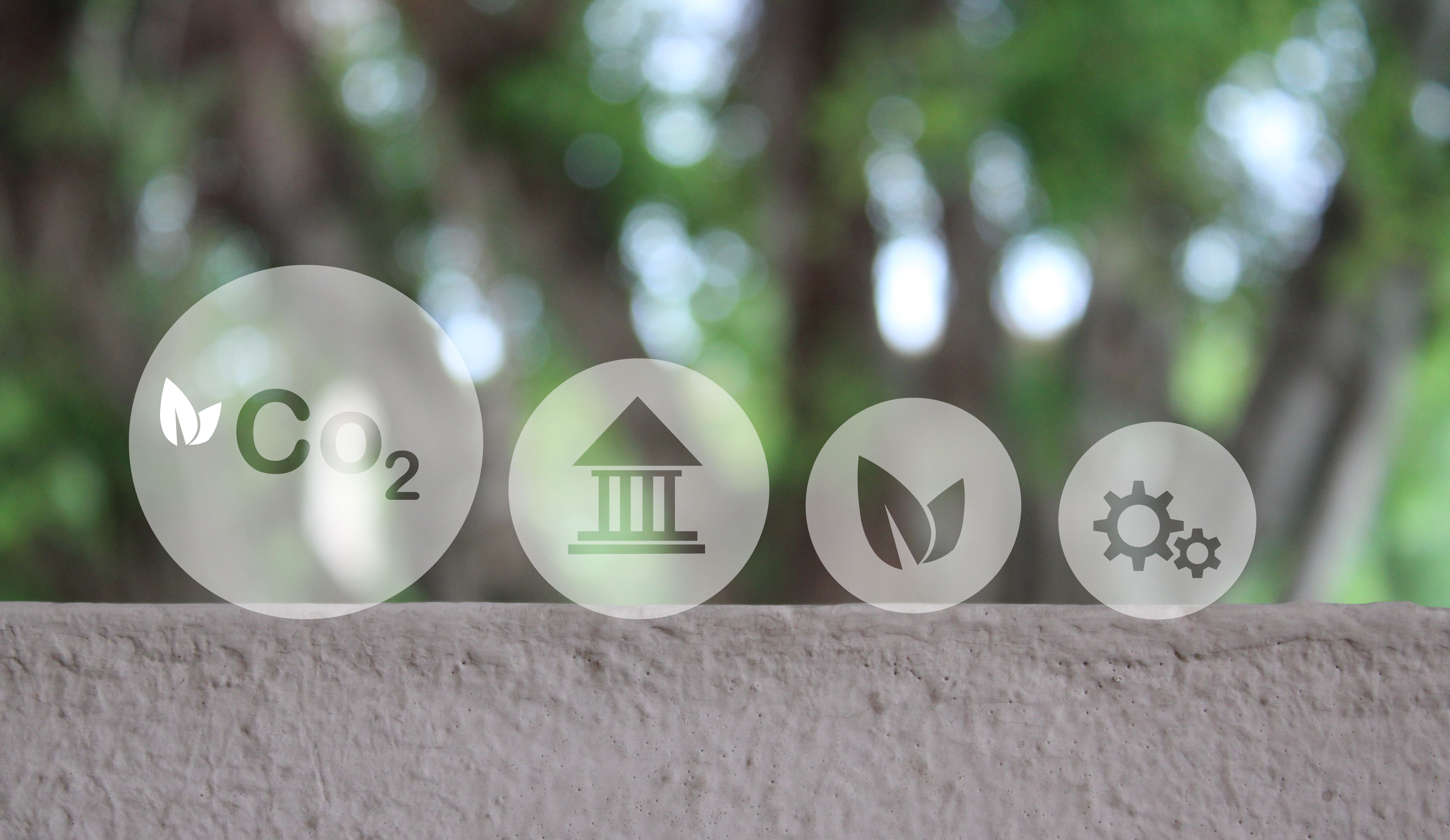 medio ambiente regulaciones