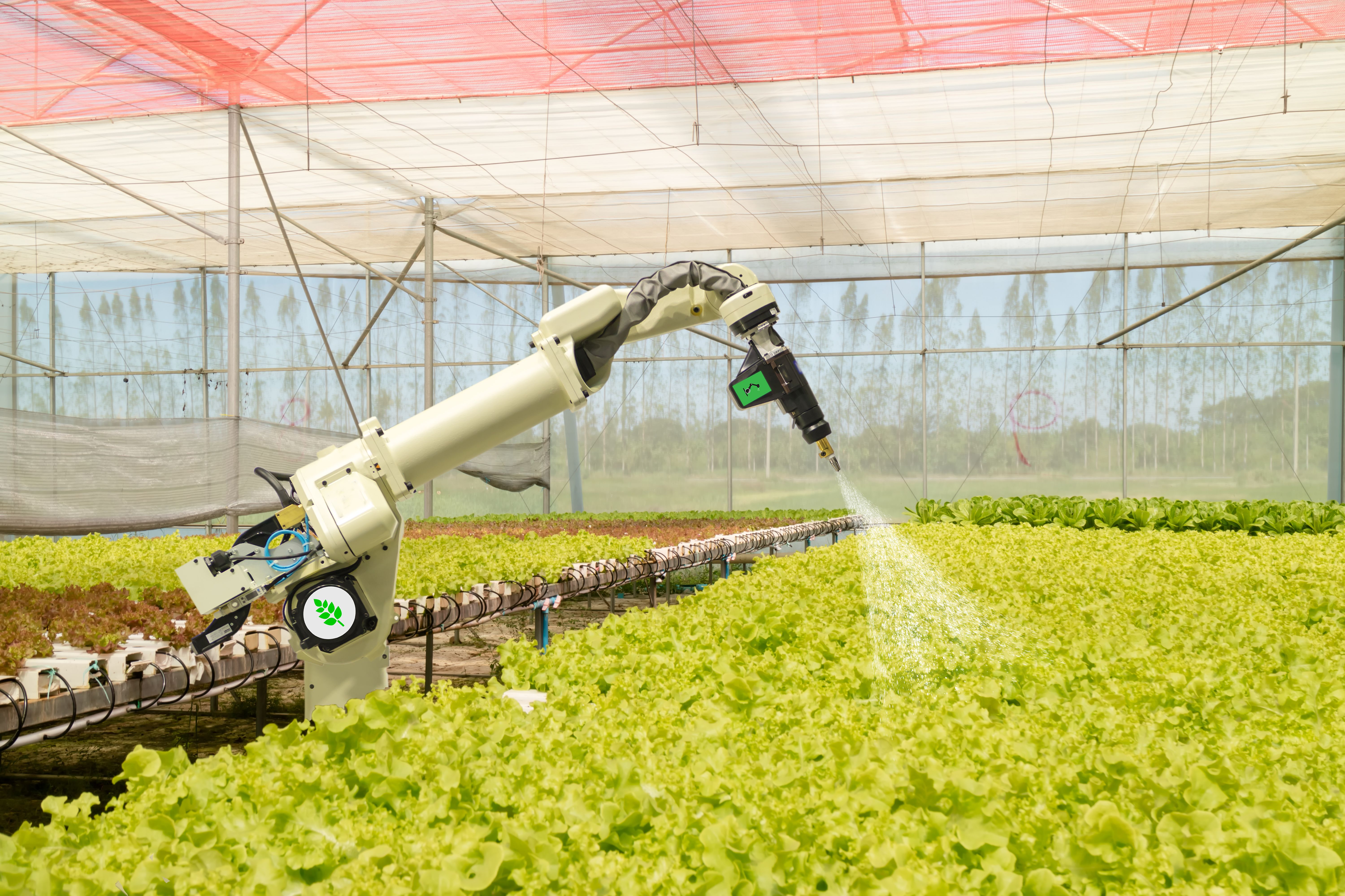 smart robotic in agriculture futuristic concept, robot farmers (automation) must be programmed to work to spray chemical,fertilizer or increase efficiency, growing a seed, harvesting, reduce time