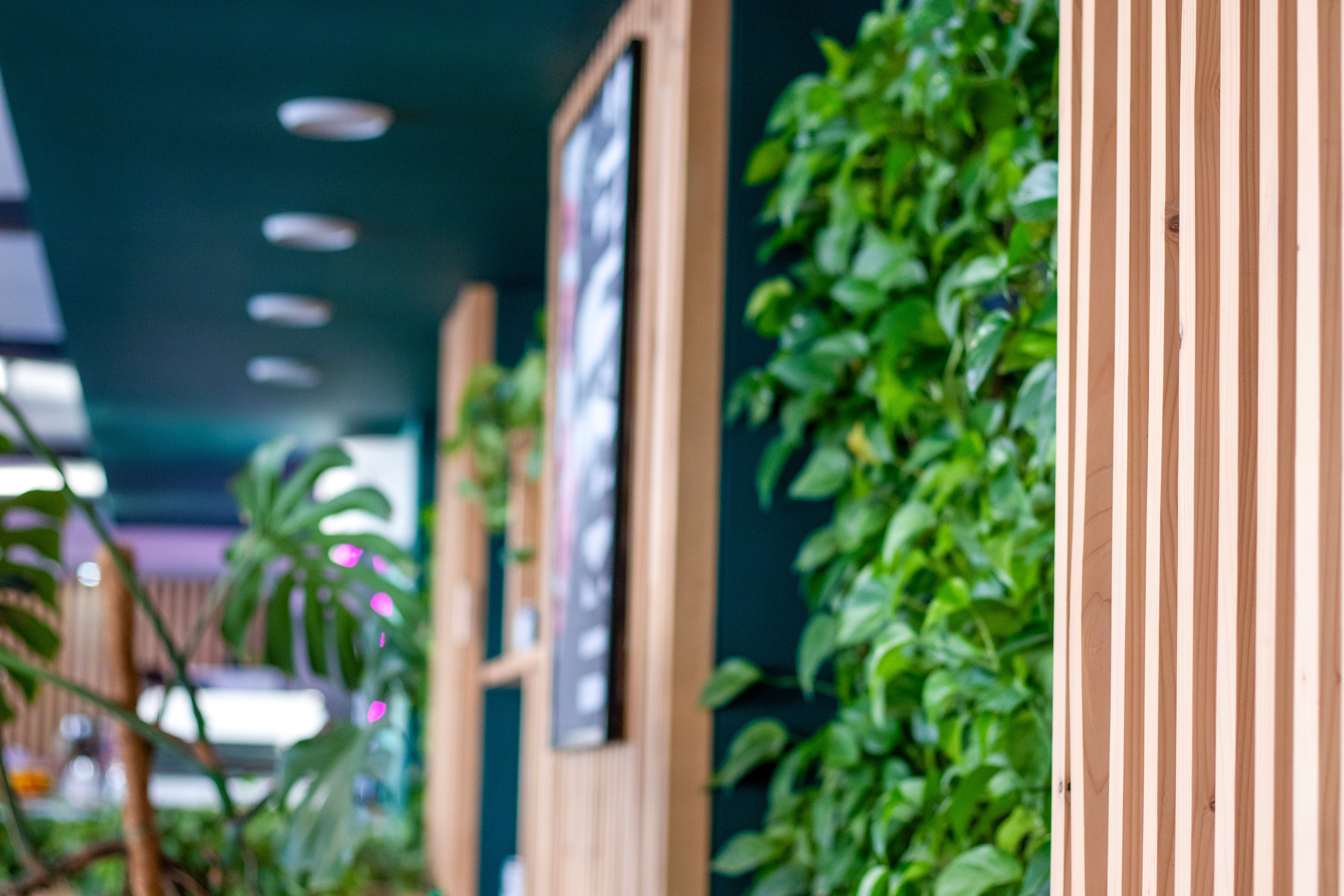 eco-friendly architecture