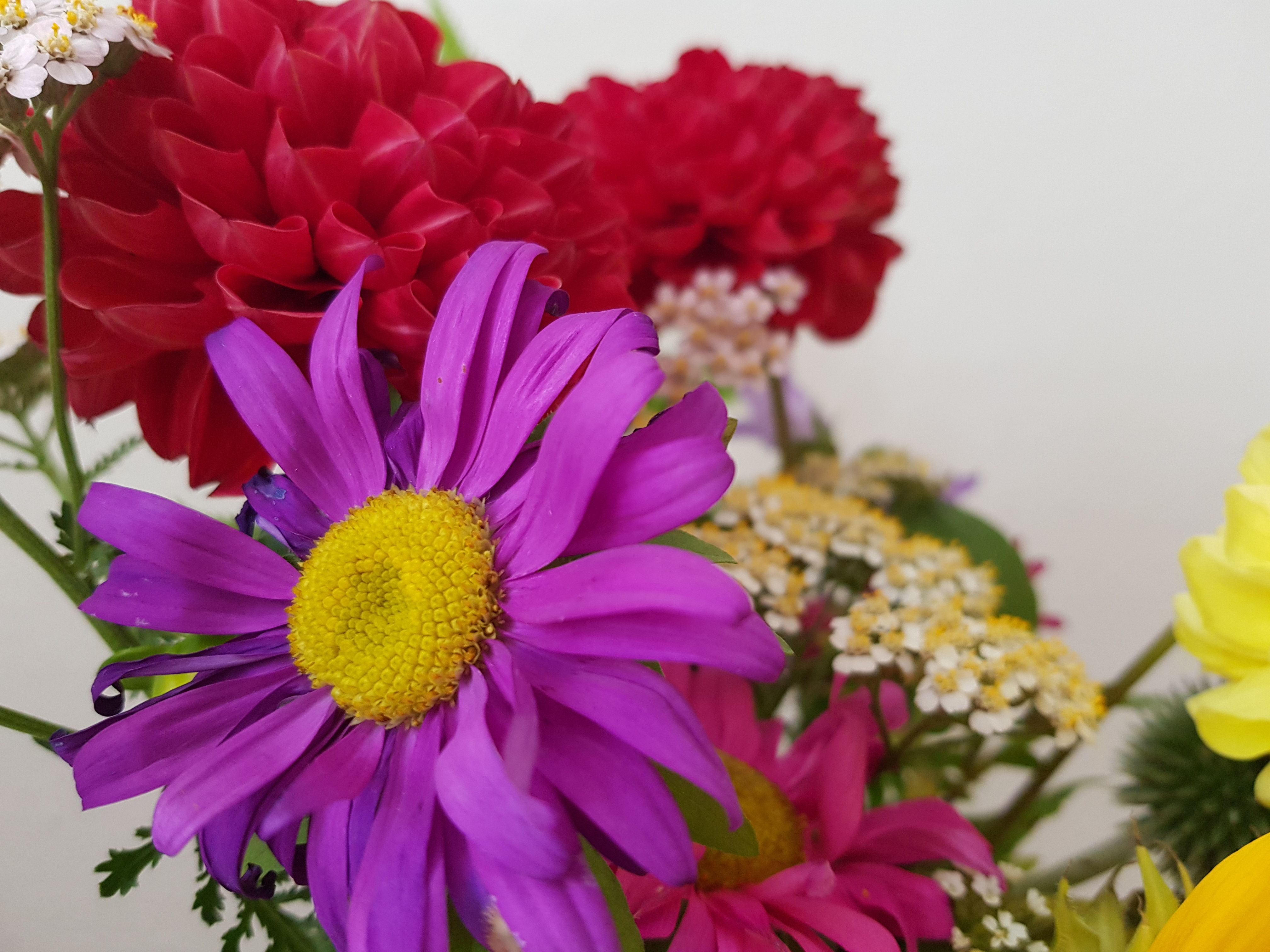 begräbnis blumen