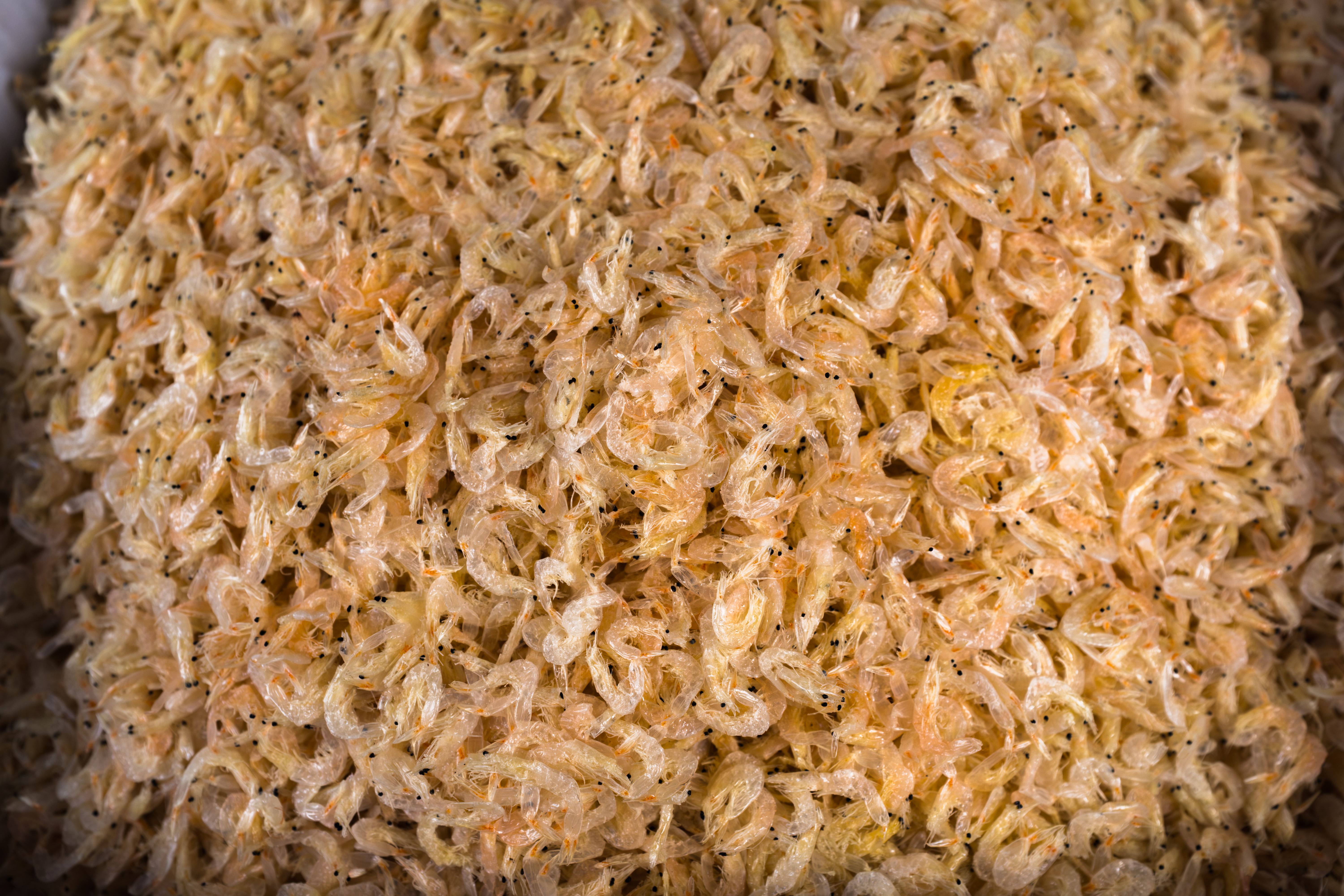 Chinese cuisine comparison