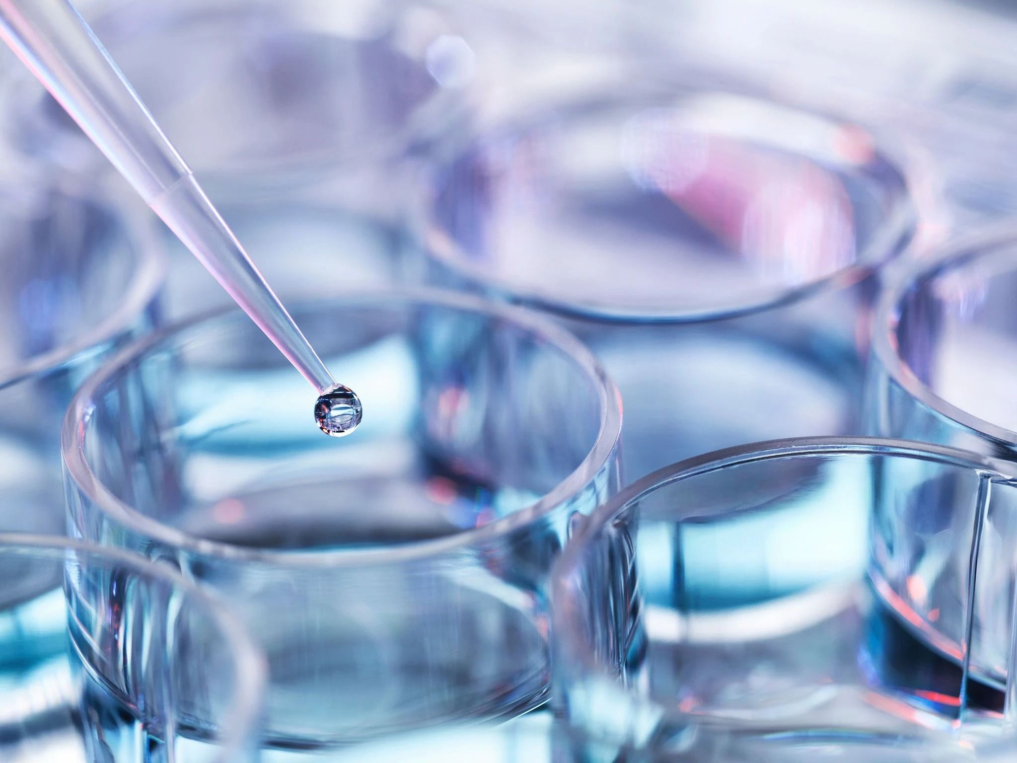 pharmaceutical research