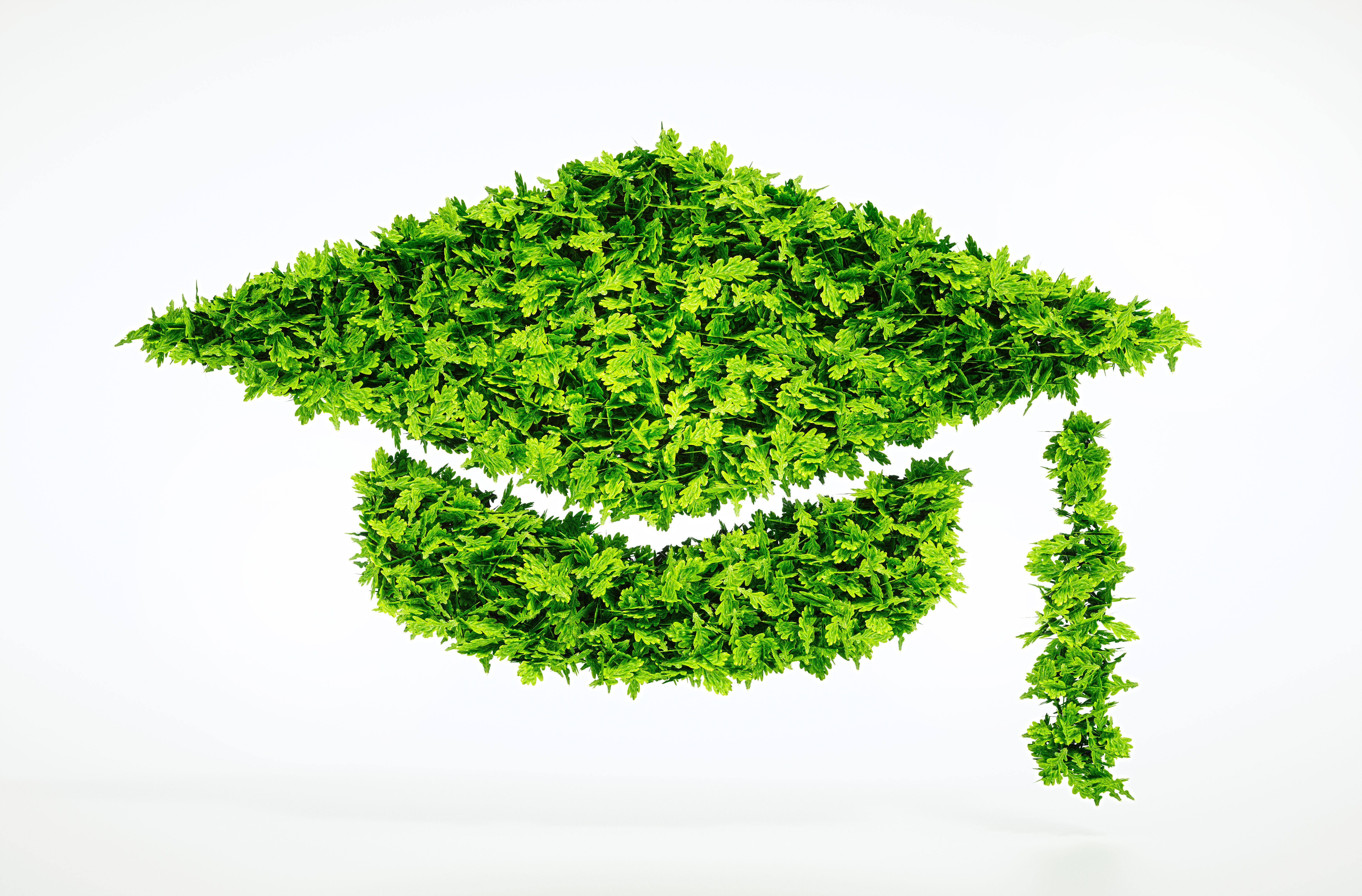 agriculture university