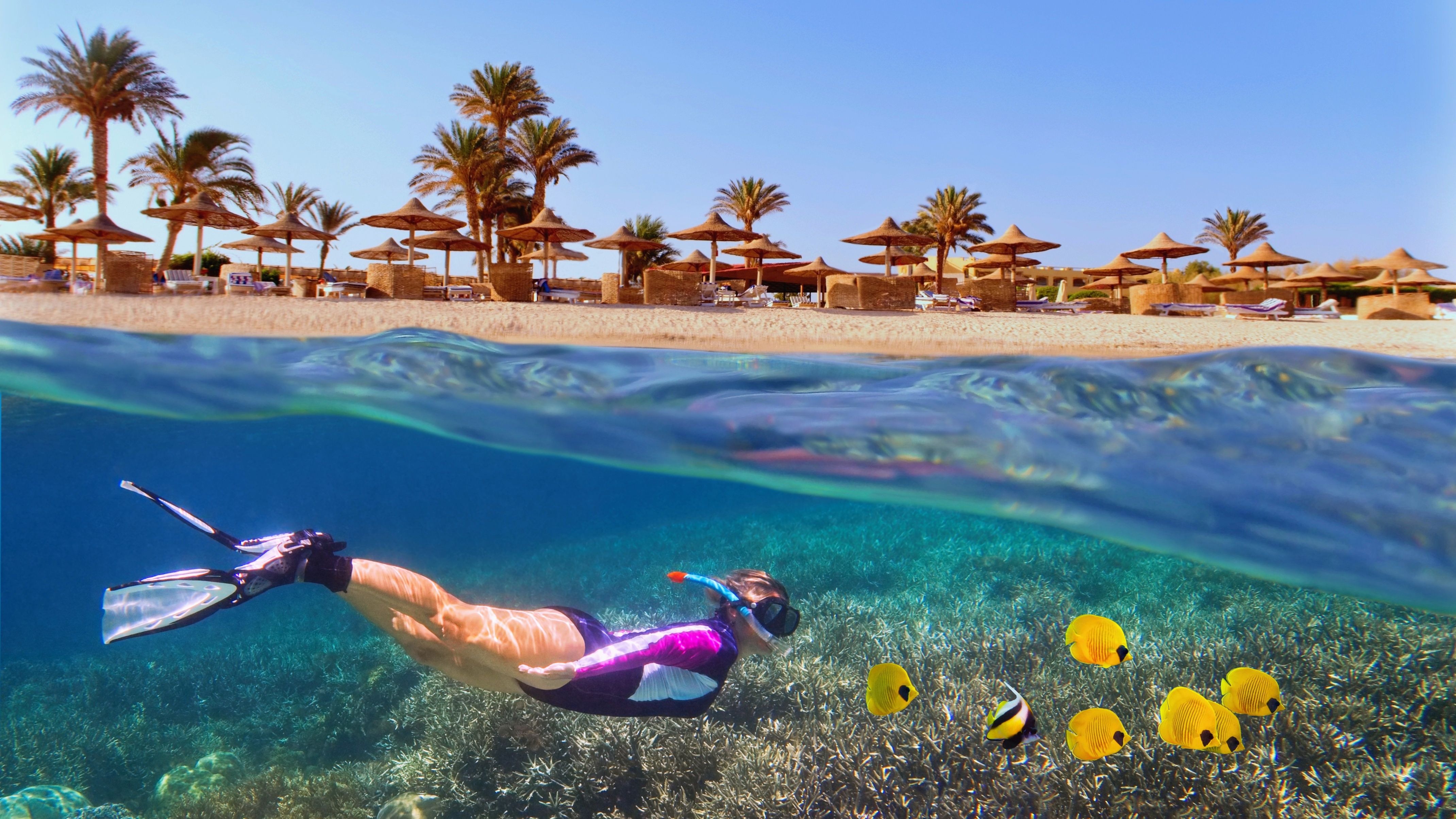 snorkeling red sea