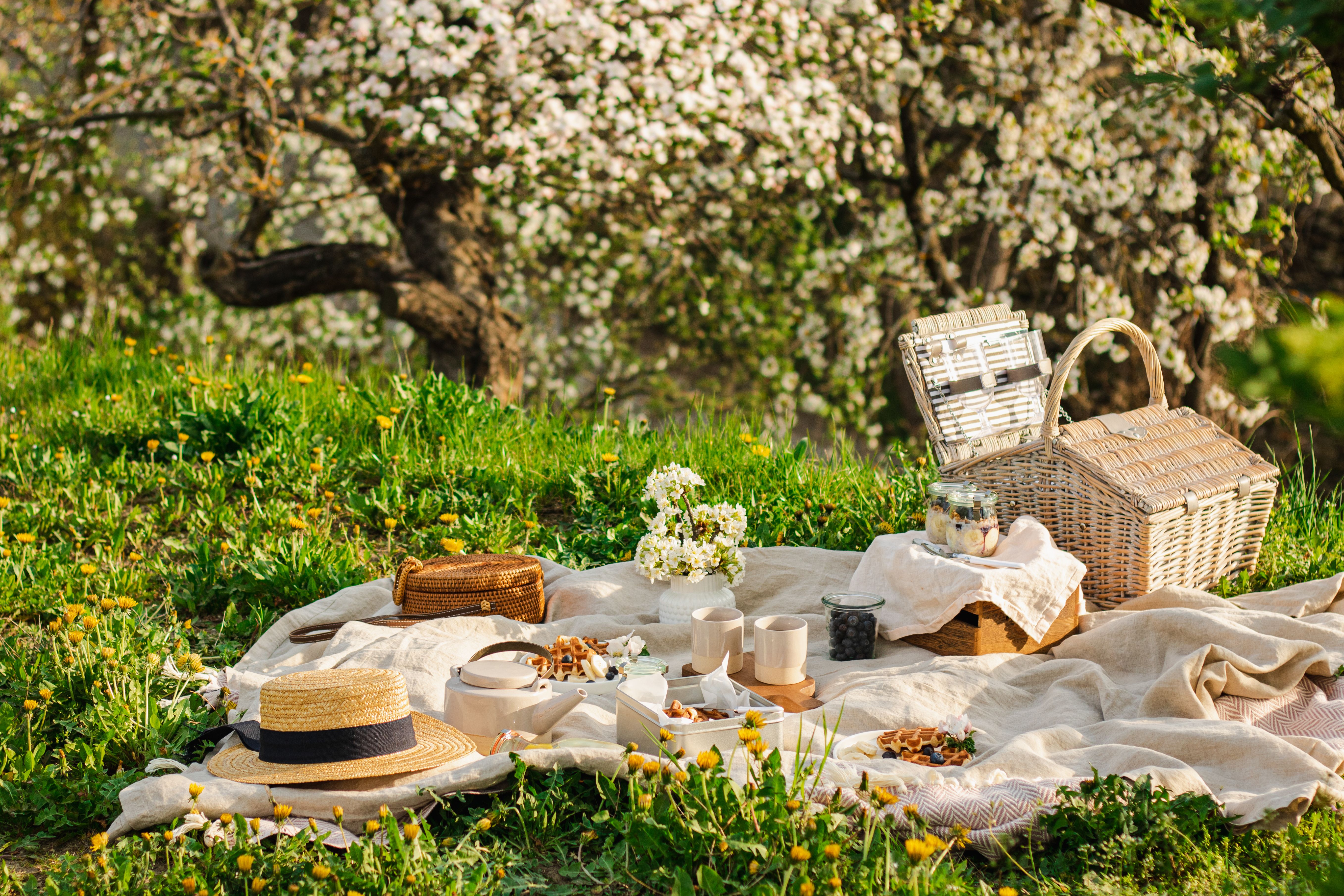 elegant picnic decor