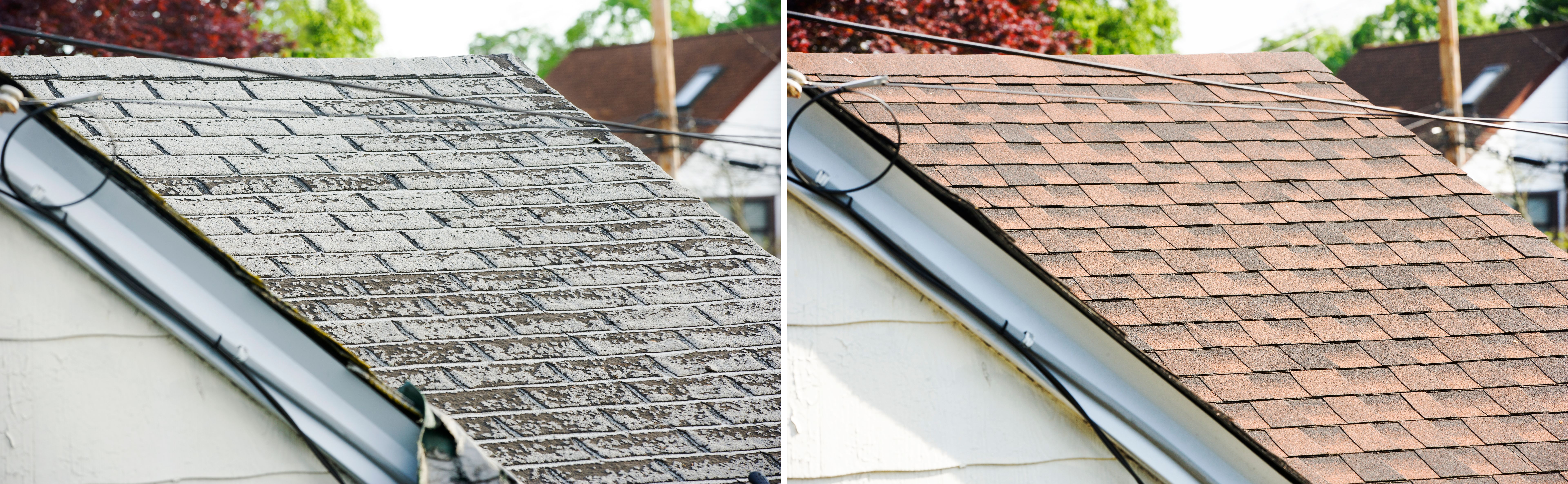 roof comparison