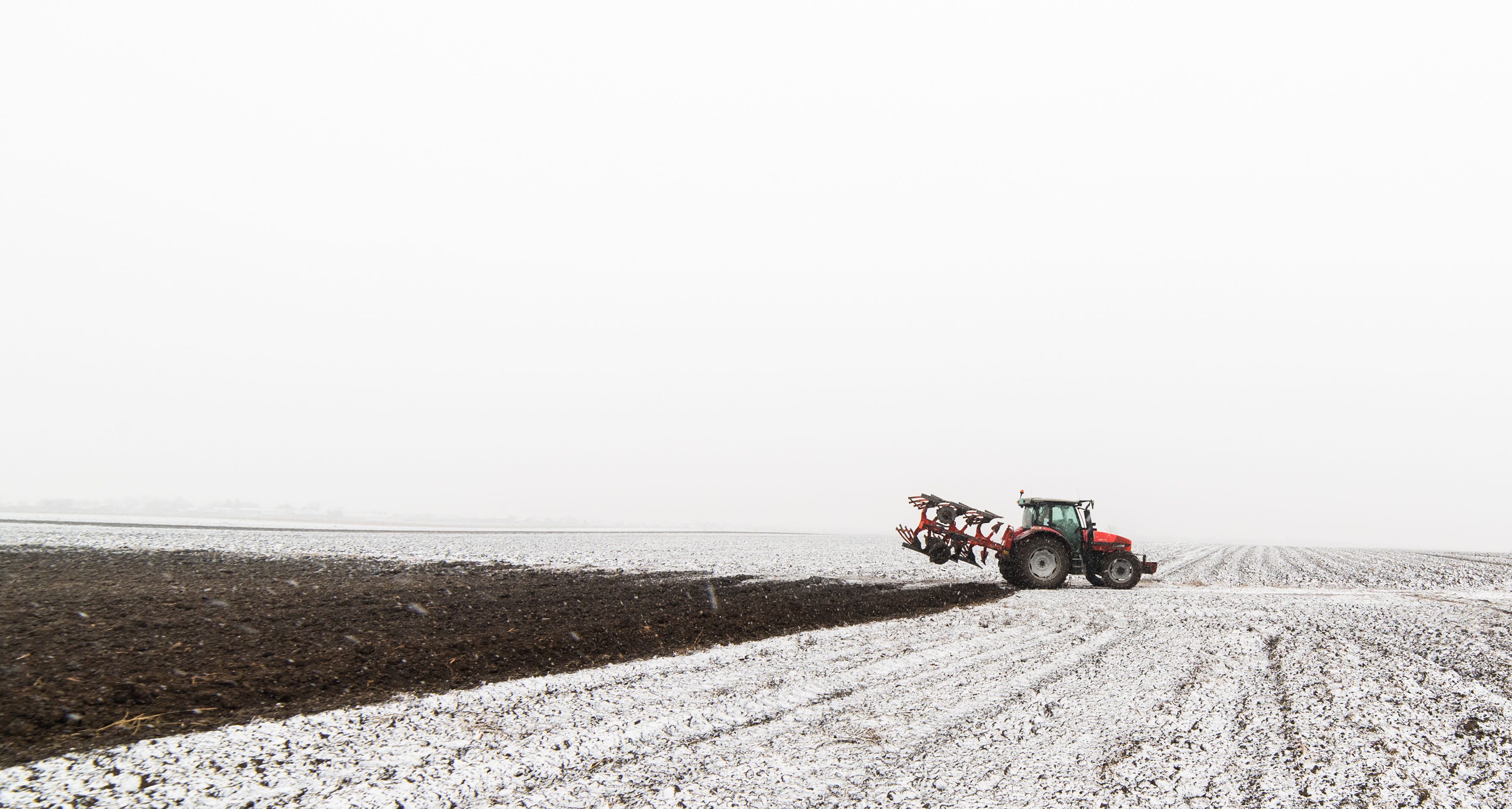 winter landscape preparation