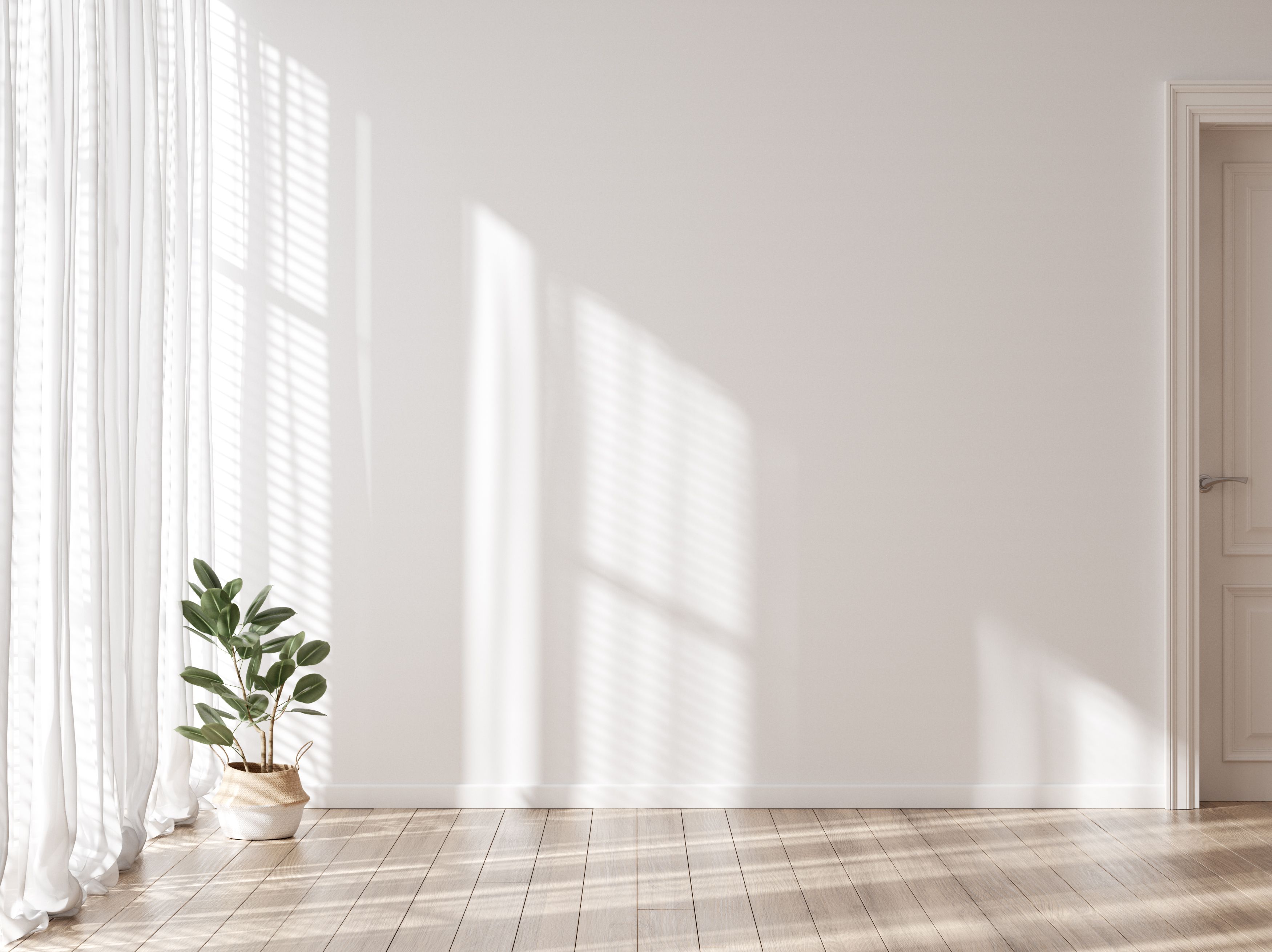 minimalist window design