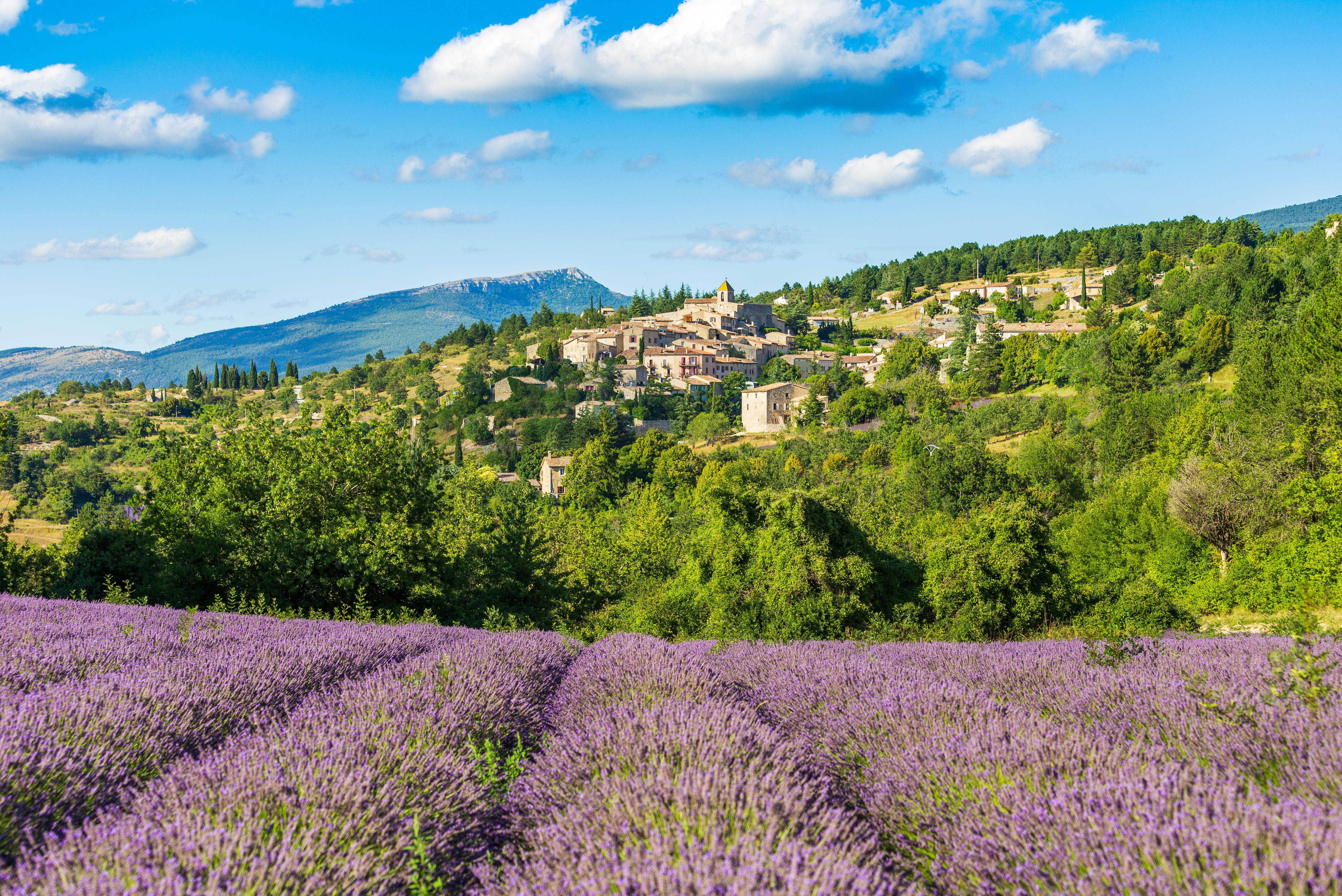 provence landscape