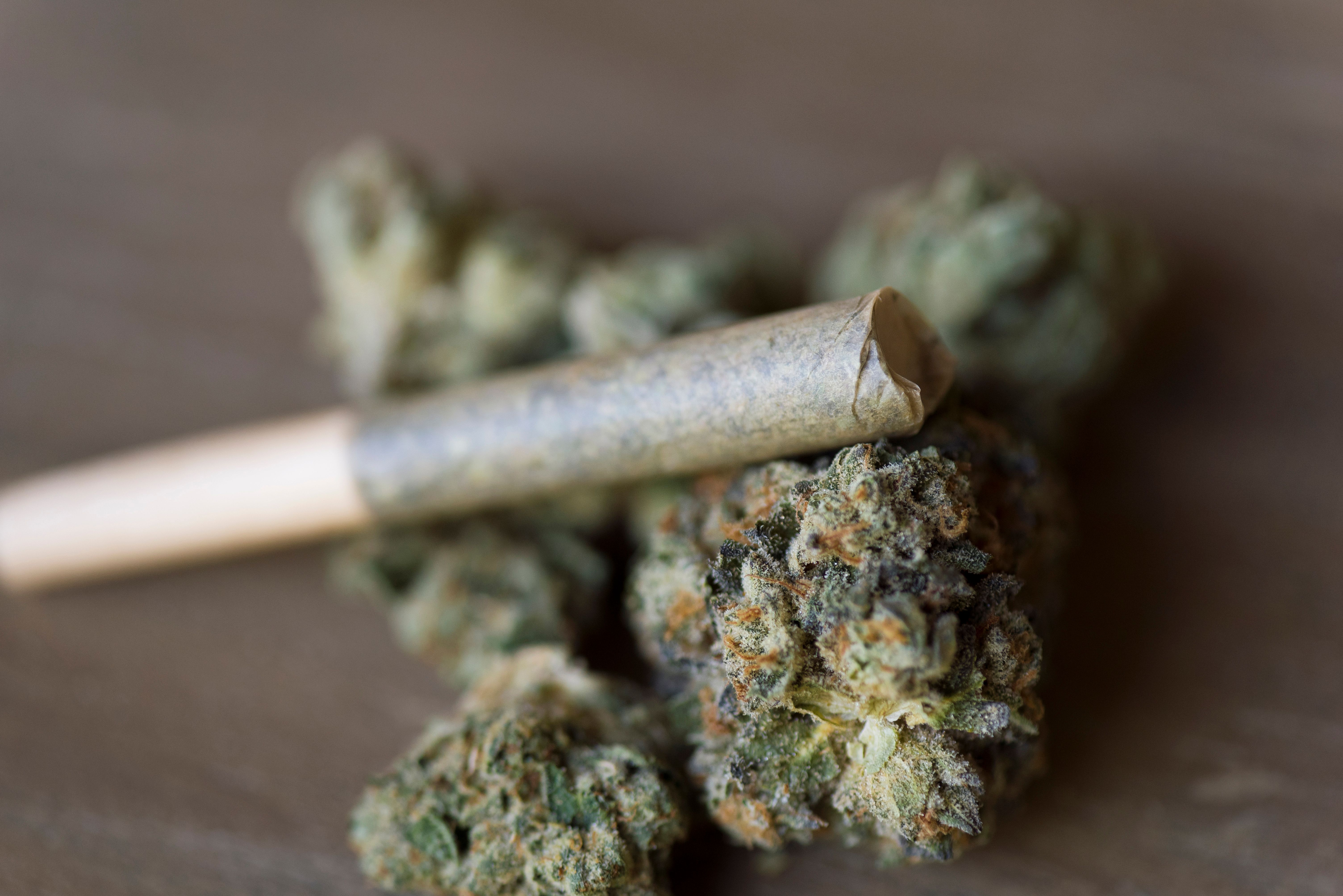 social impact cannabis