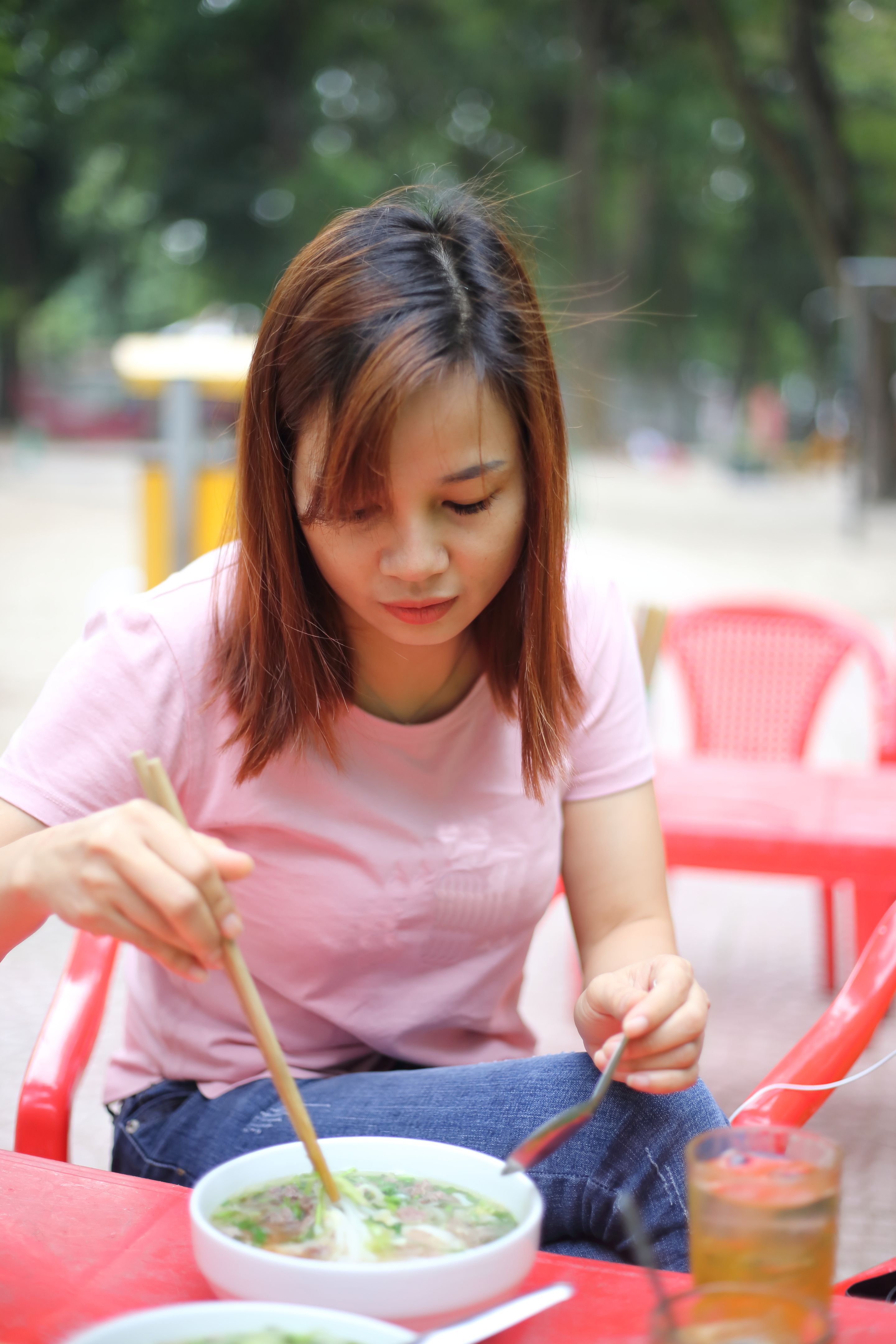 Pho bo、Vietnam noodle