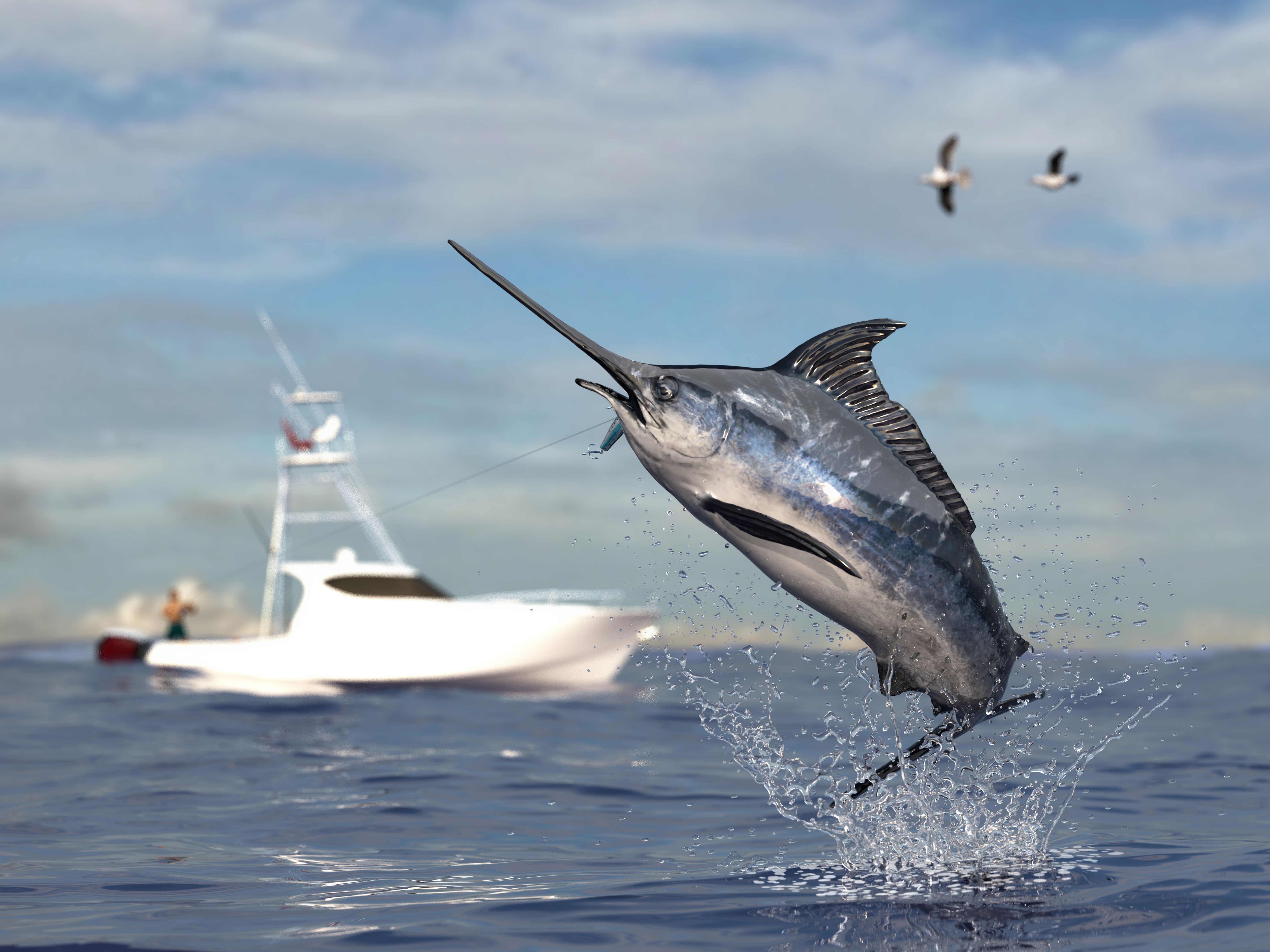 saltwater fishing