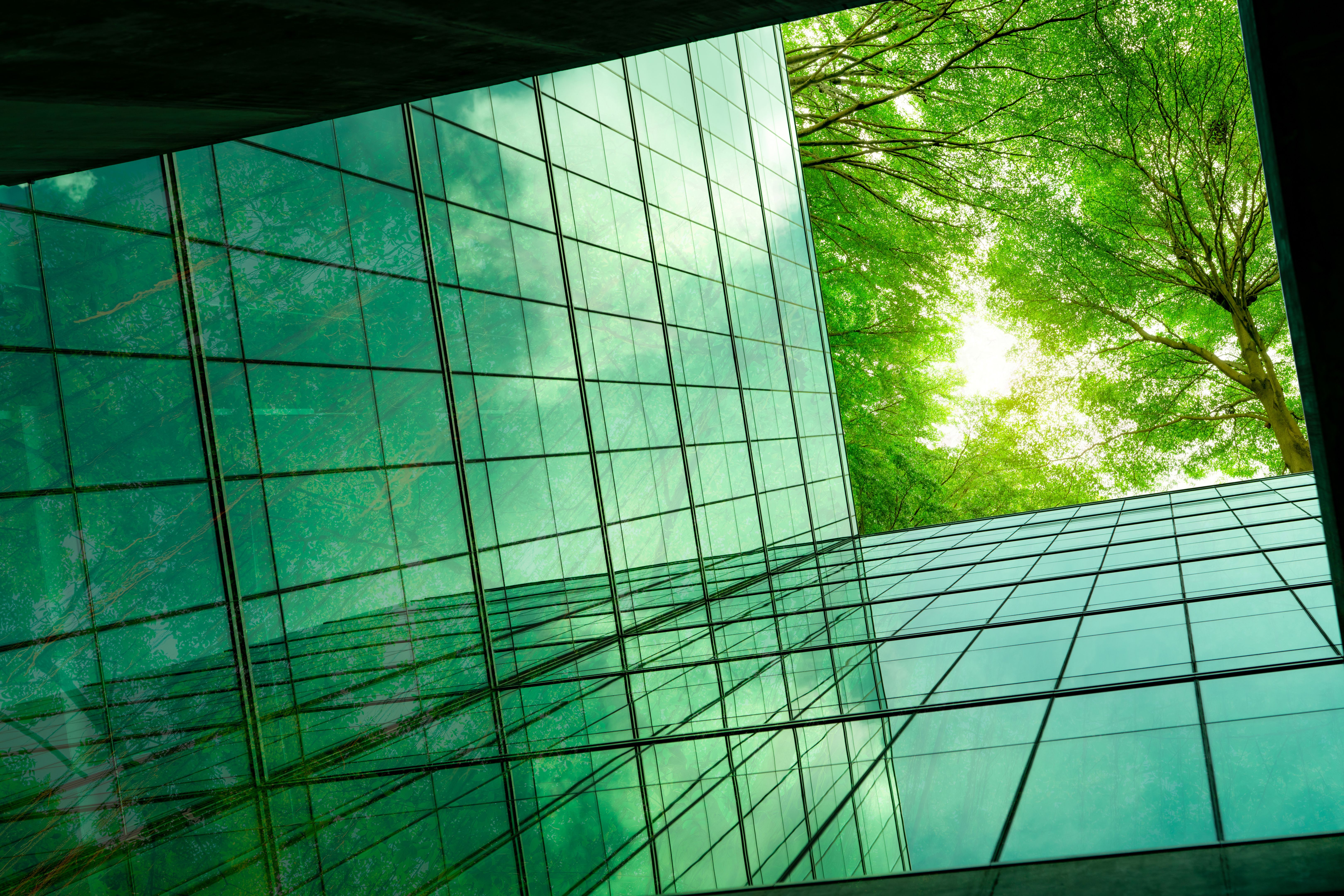 eco friendly exterior