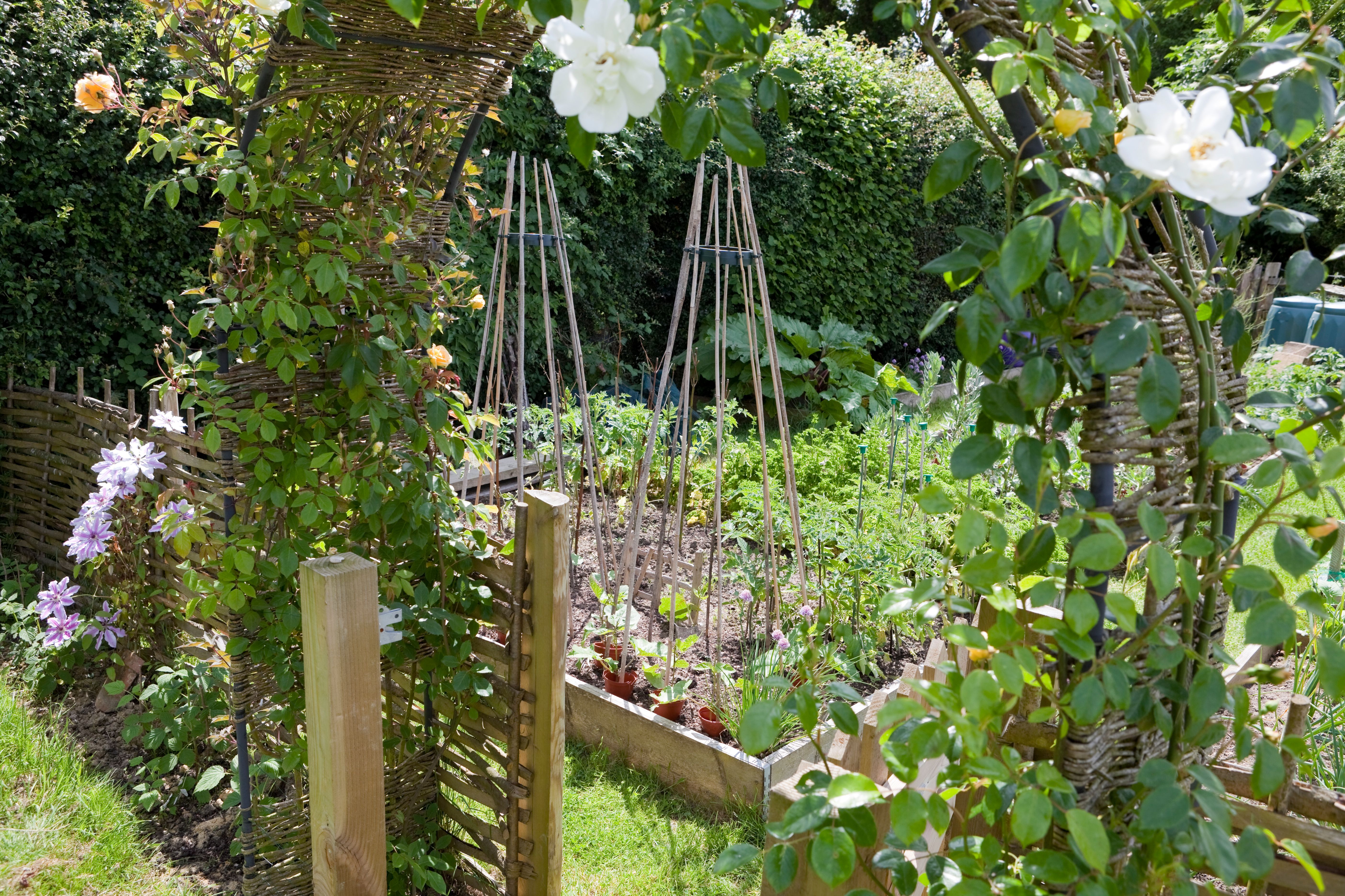 trellis garden