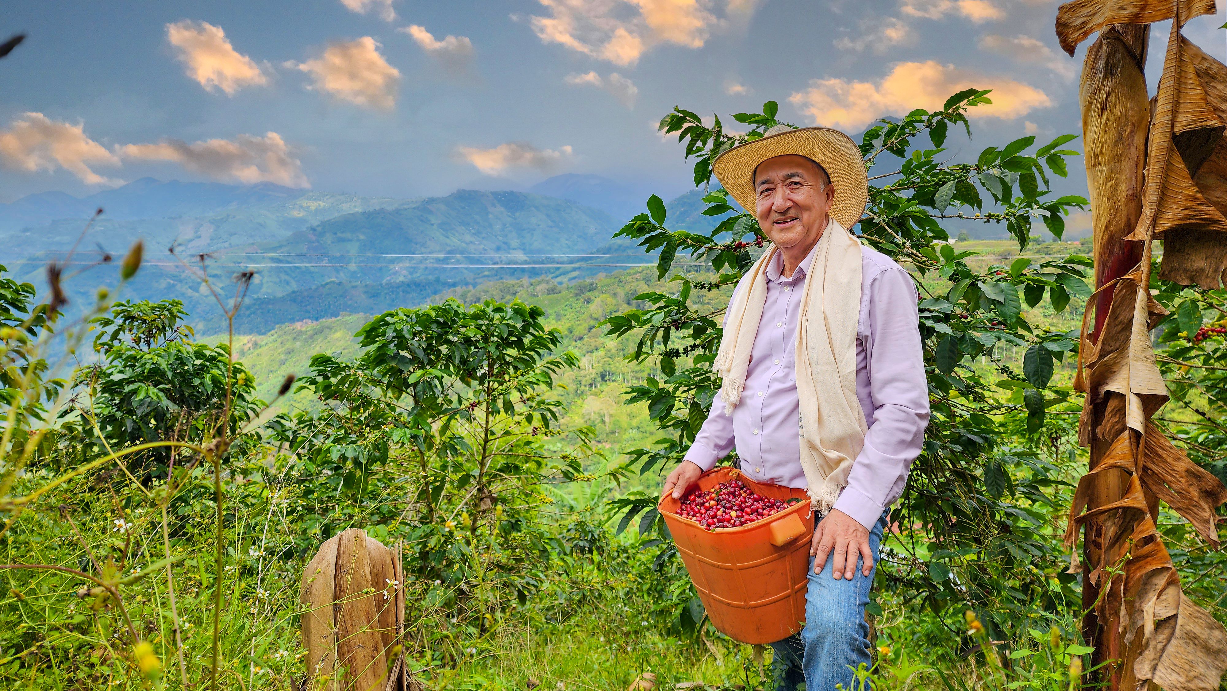 sustainable coffee farming