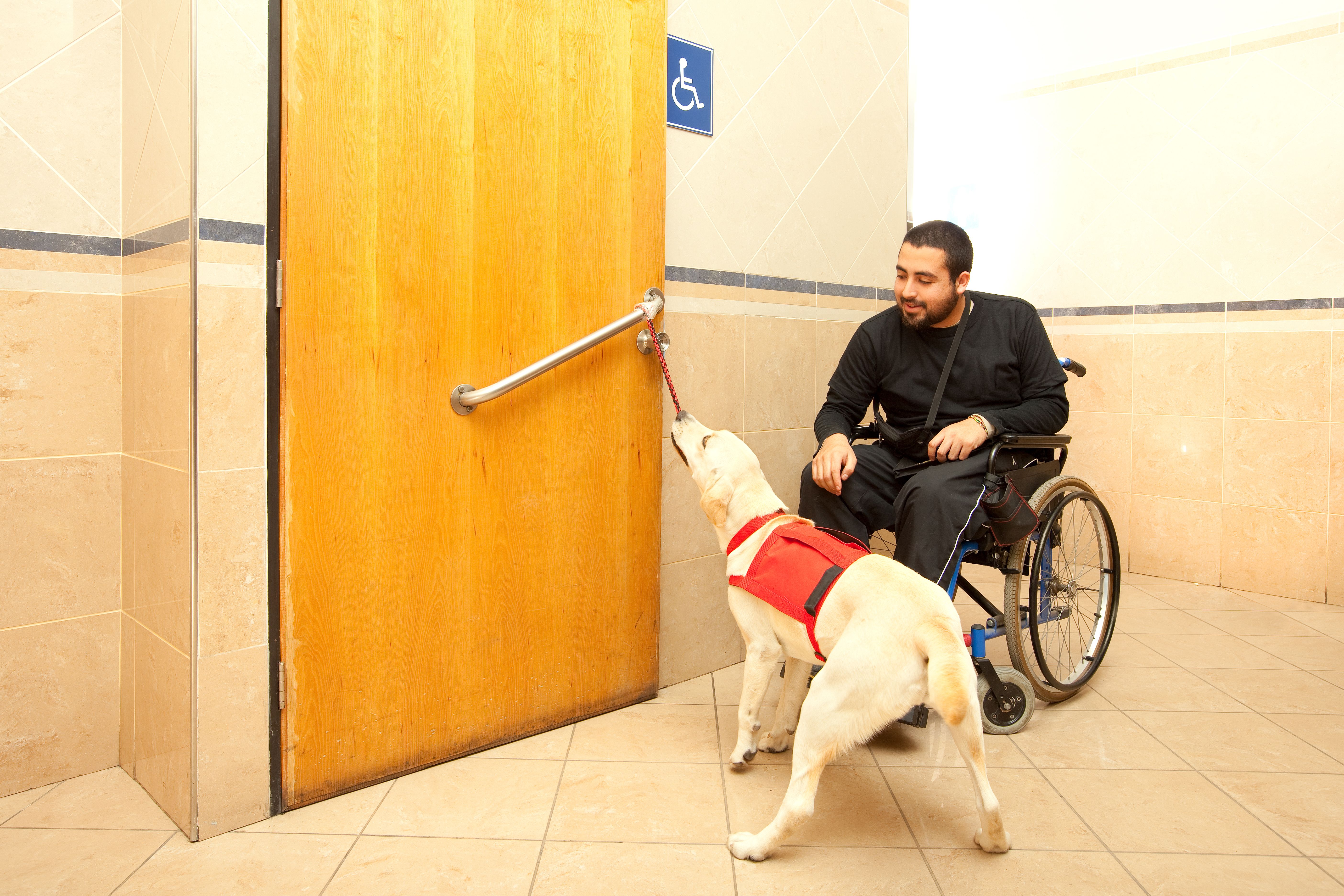 Man in wheelchair with the assistance of a trained dog