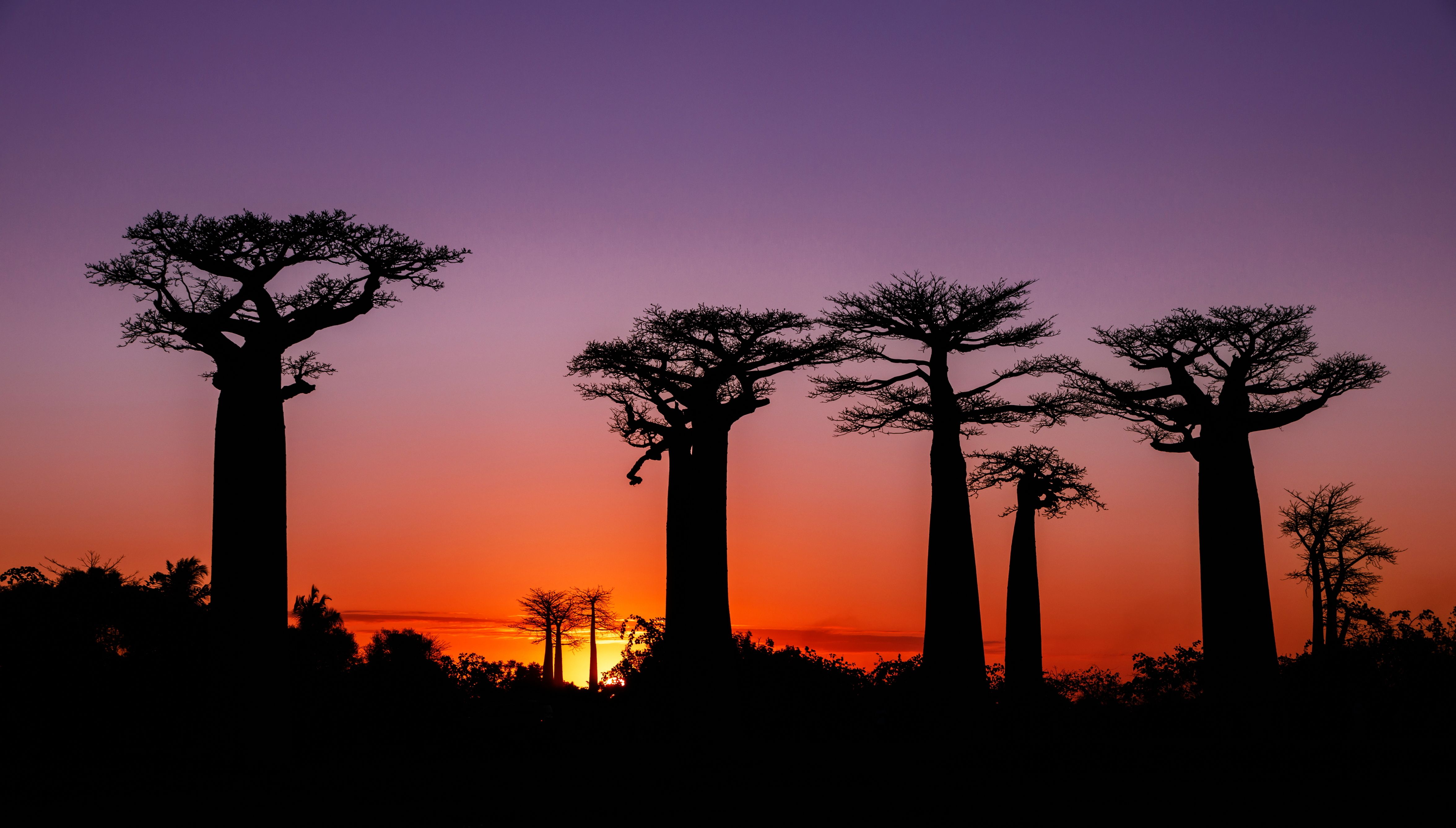 madagascar landscape
