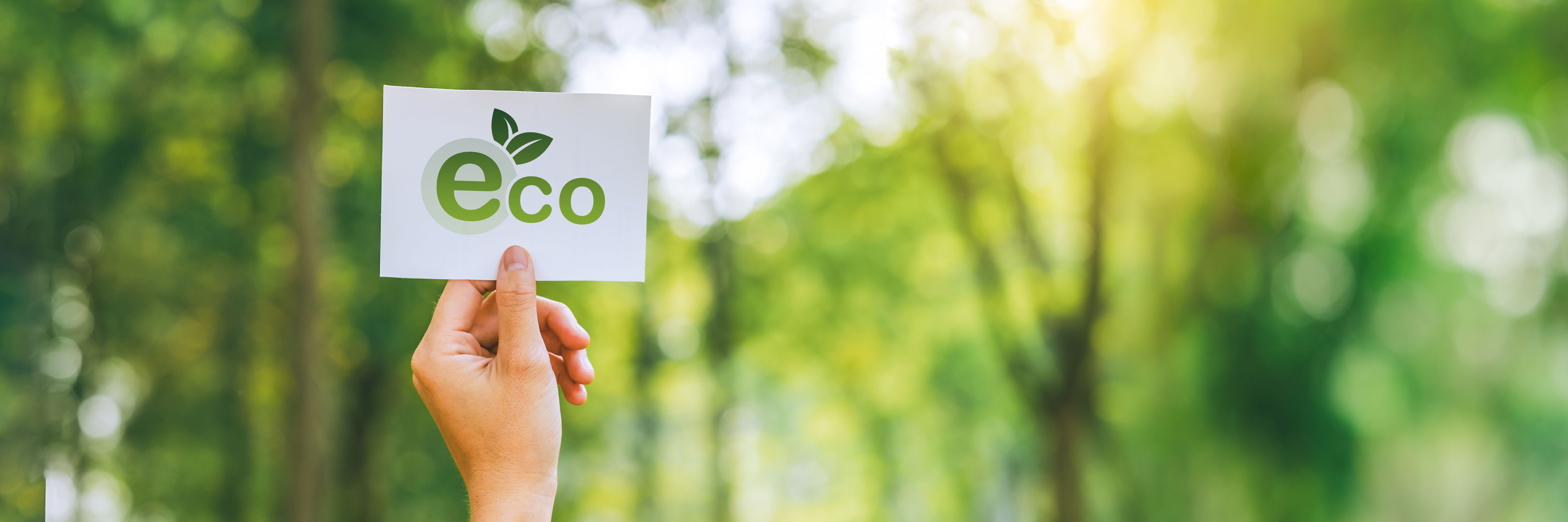 sostenibilidad ecologia