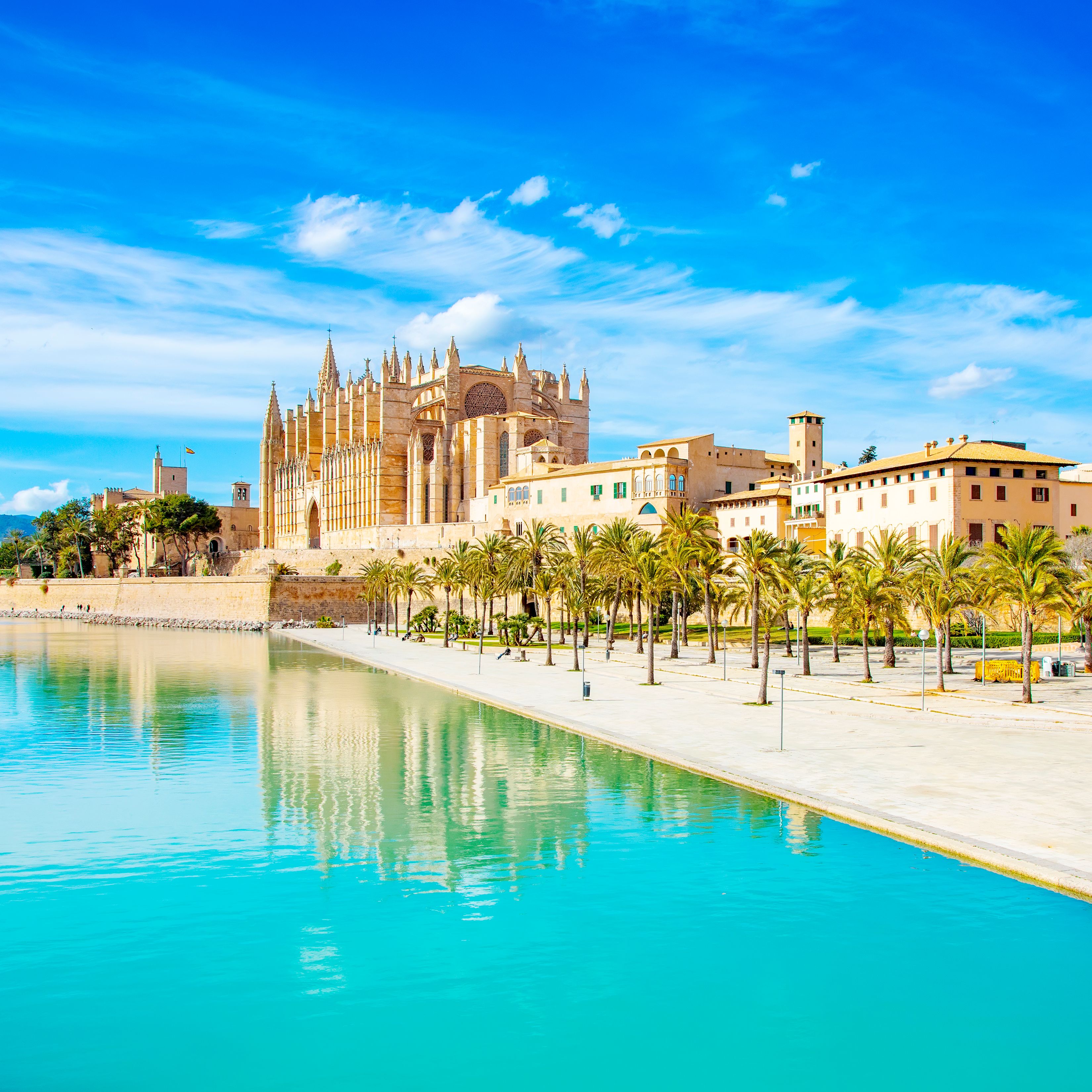 palma de mallorca