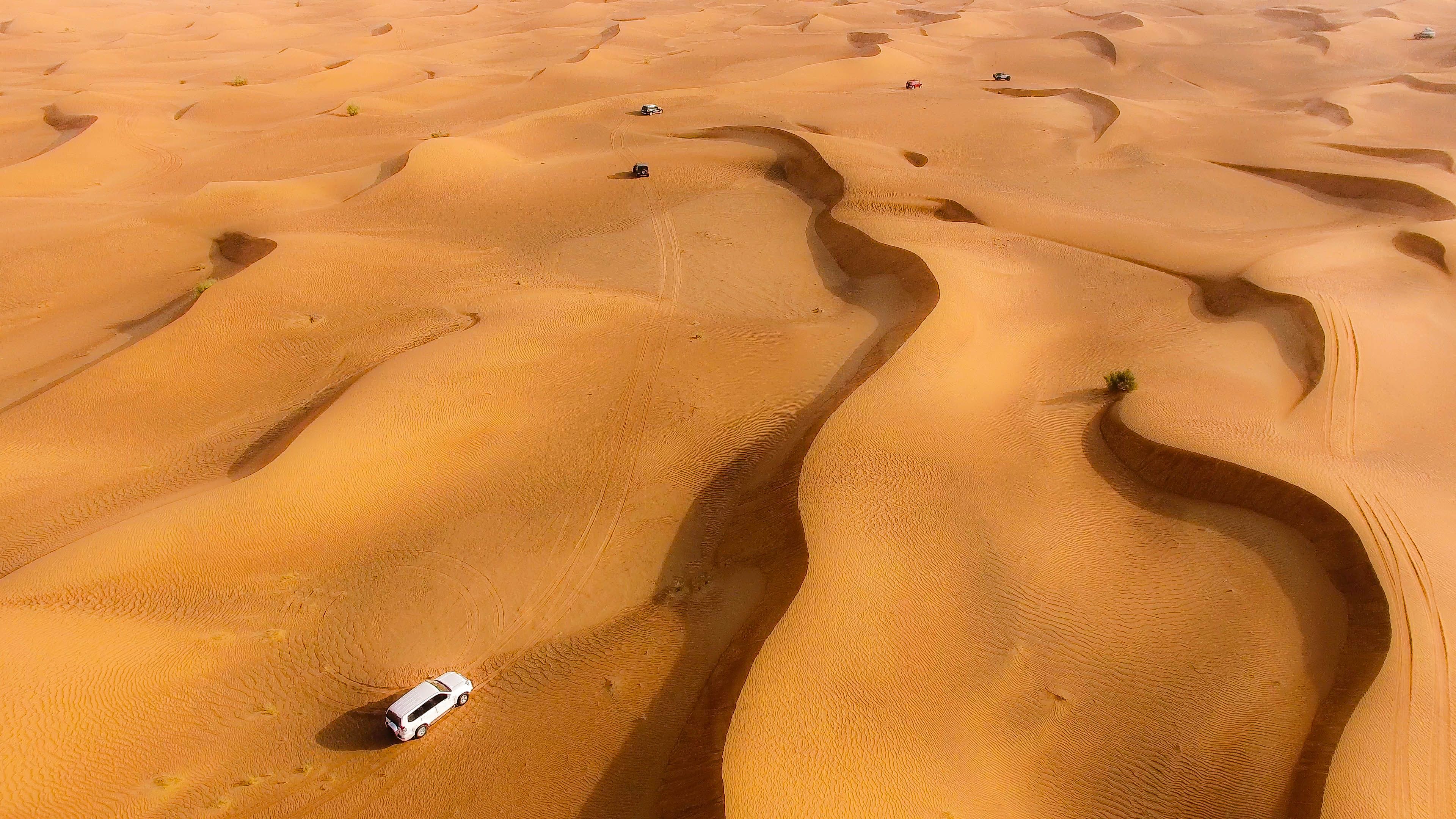 desert safari