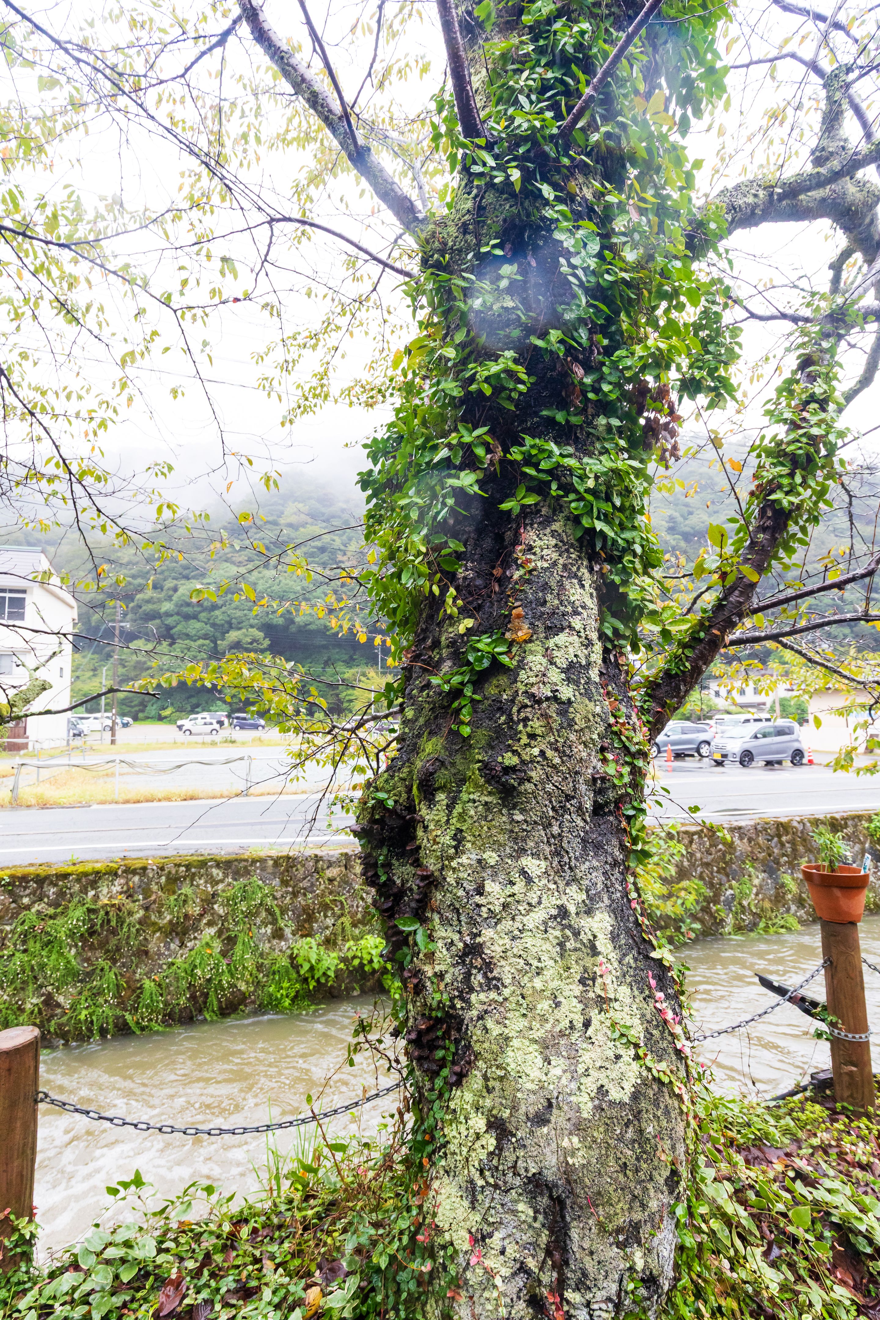 historic building cleaning