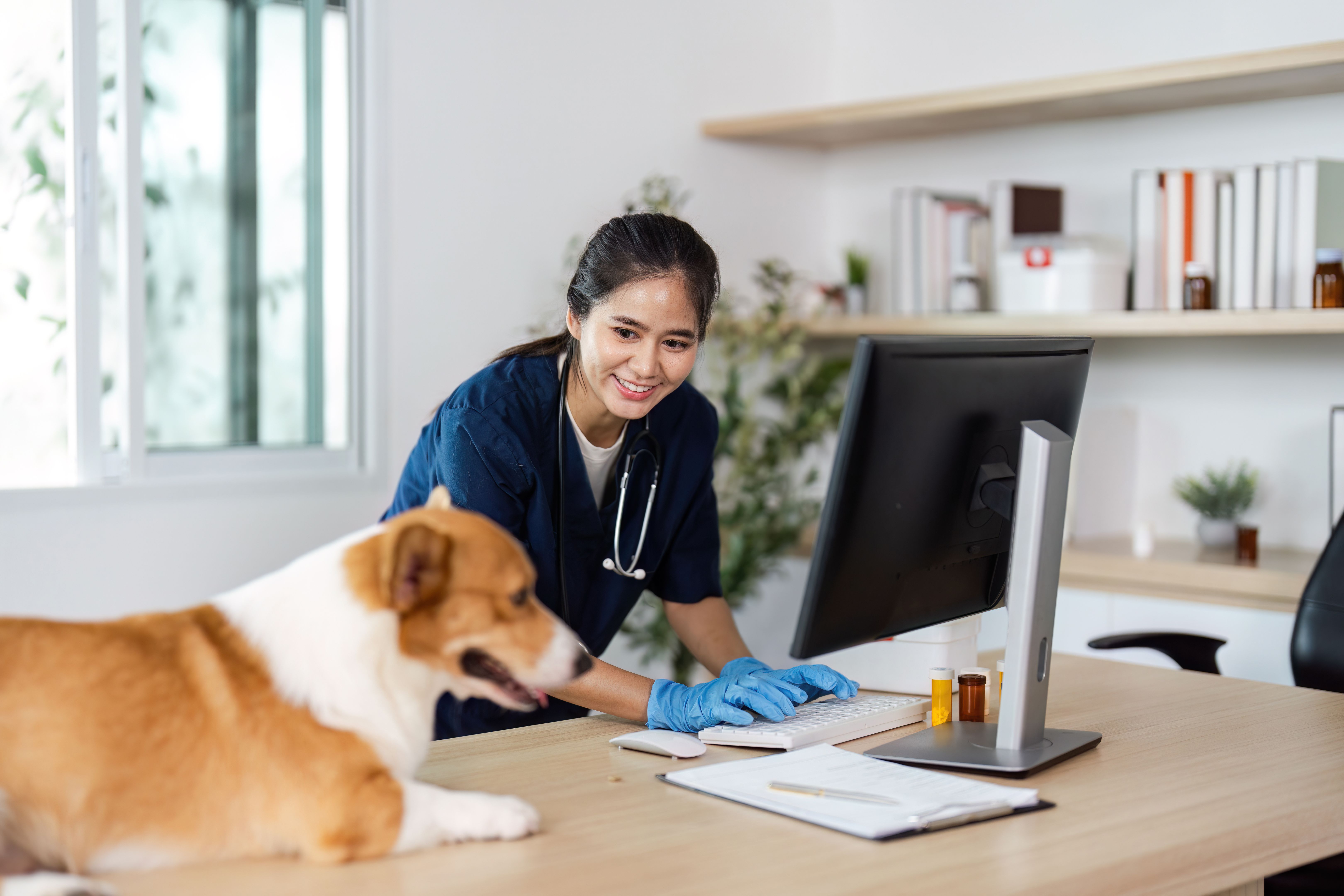 veterinarian office