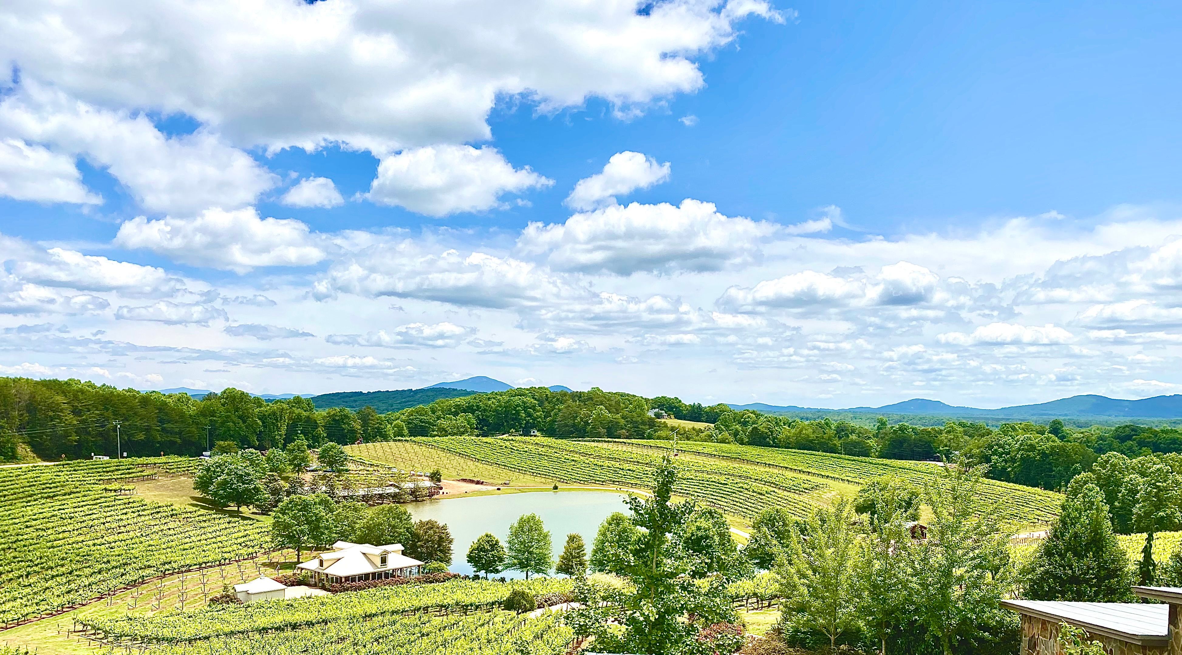 west georgia landscape