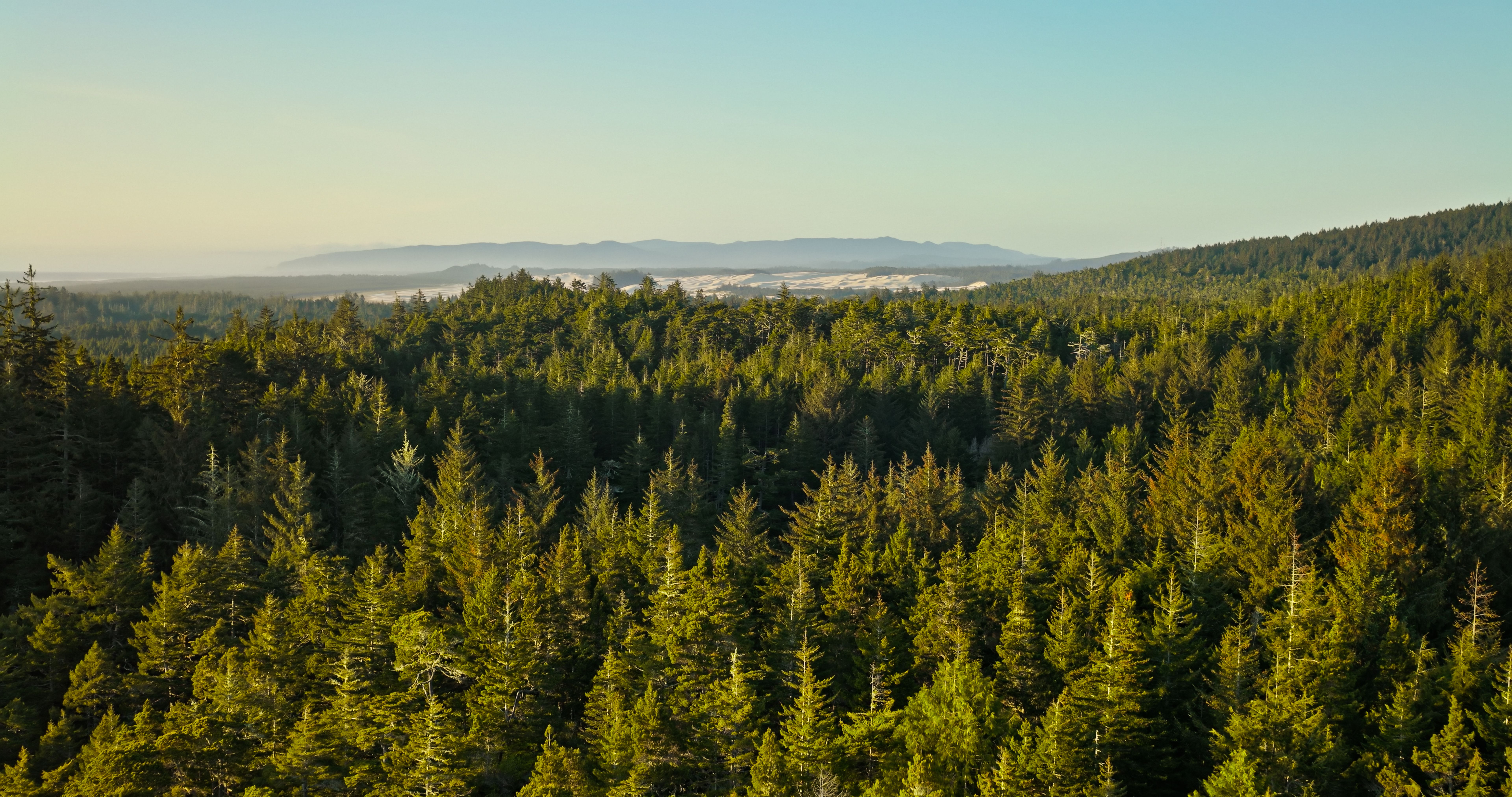 pacific spirit park