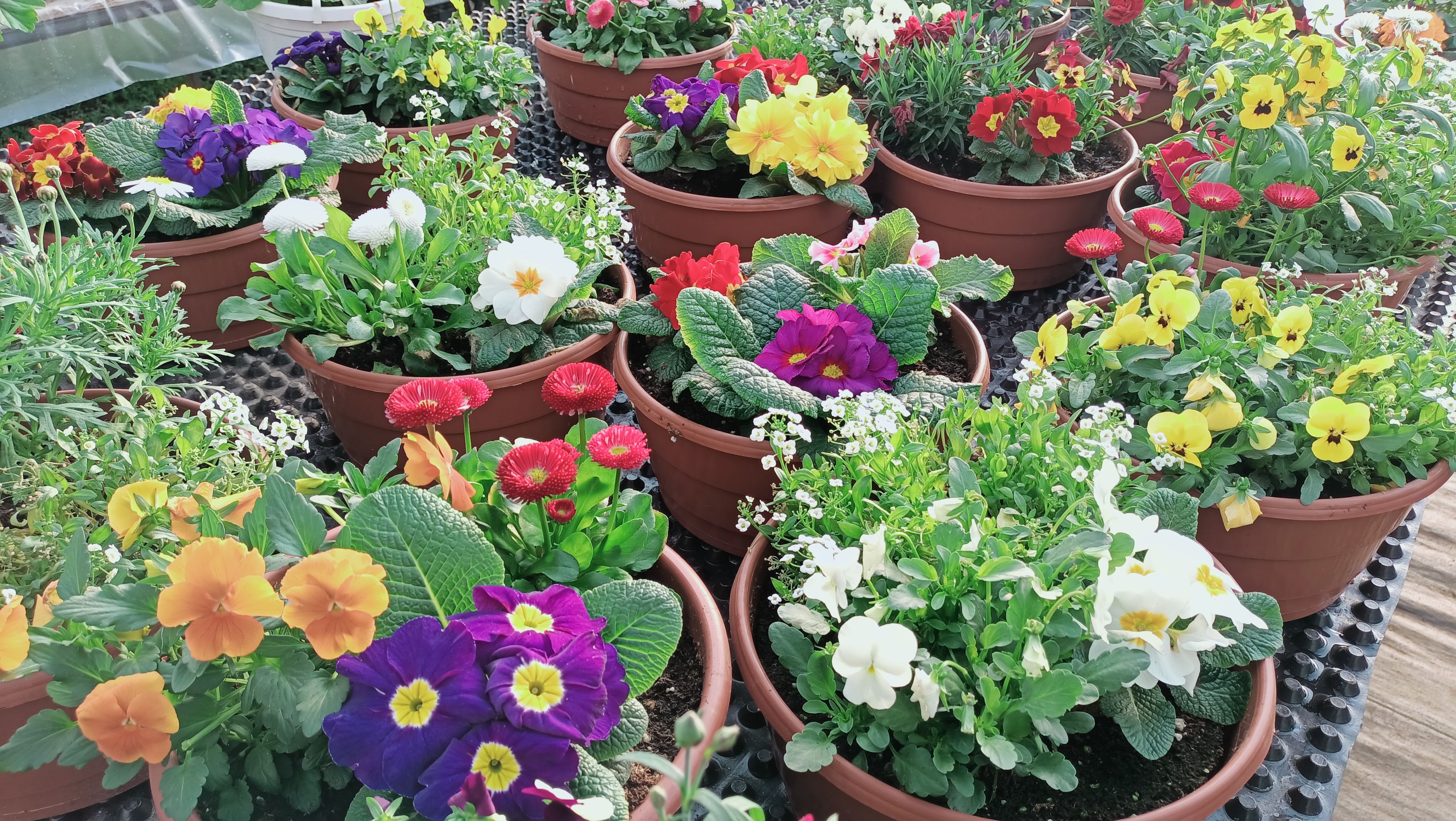 landscape design creativity